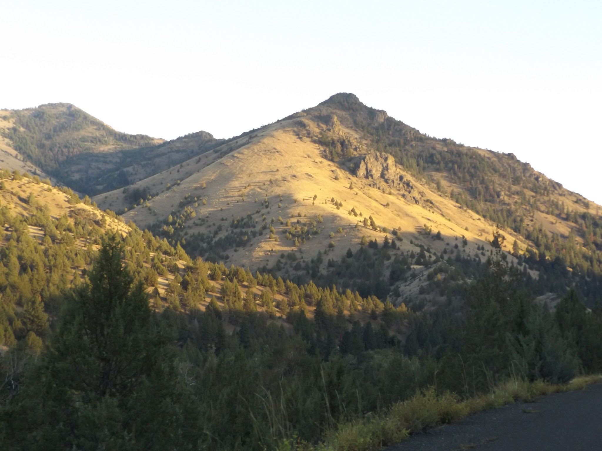 Billy Fields Campground