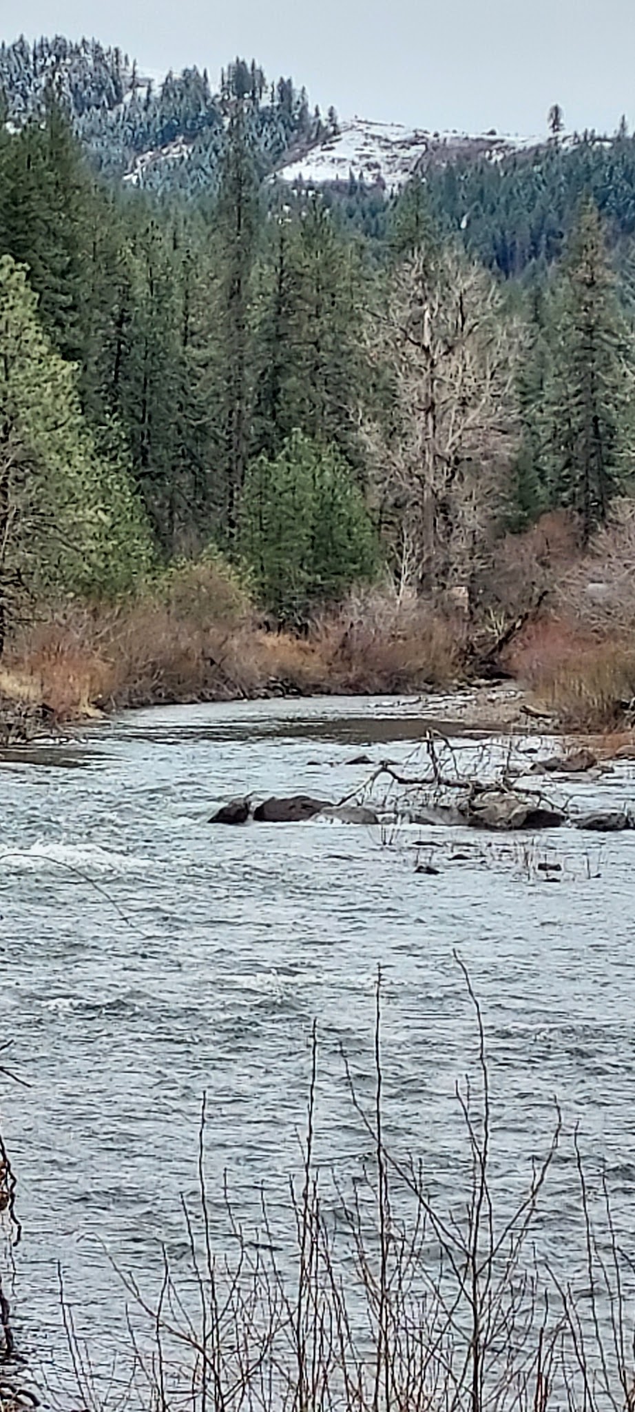 Bingham Springs Campground