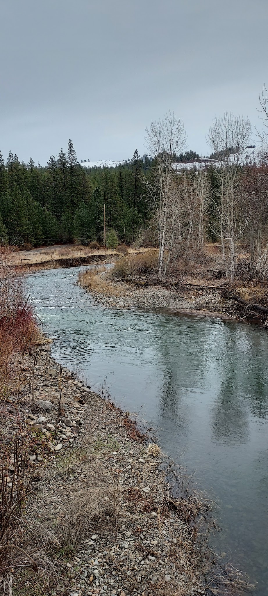 Bingham Springs Campground