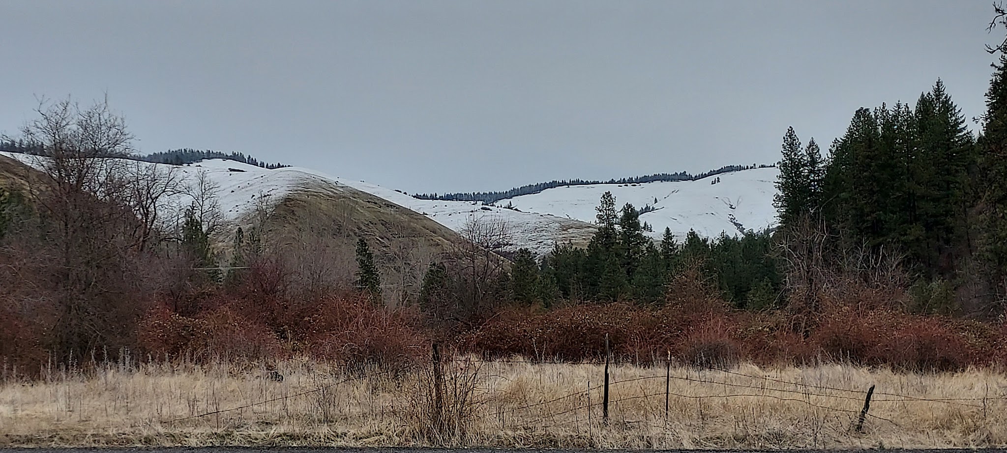 Bingham Springs Campground