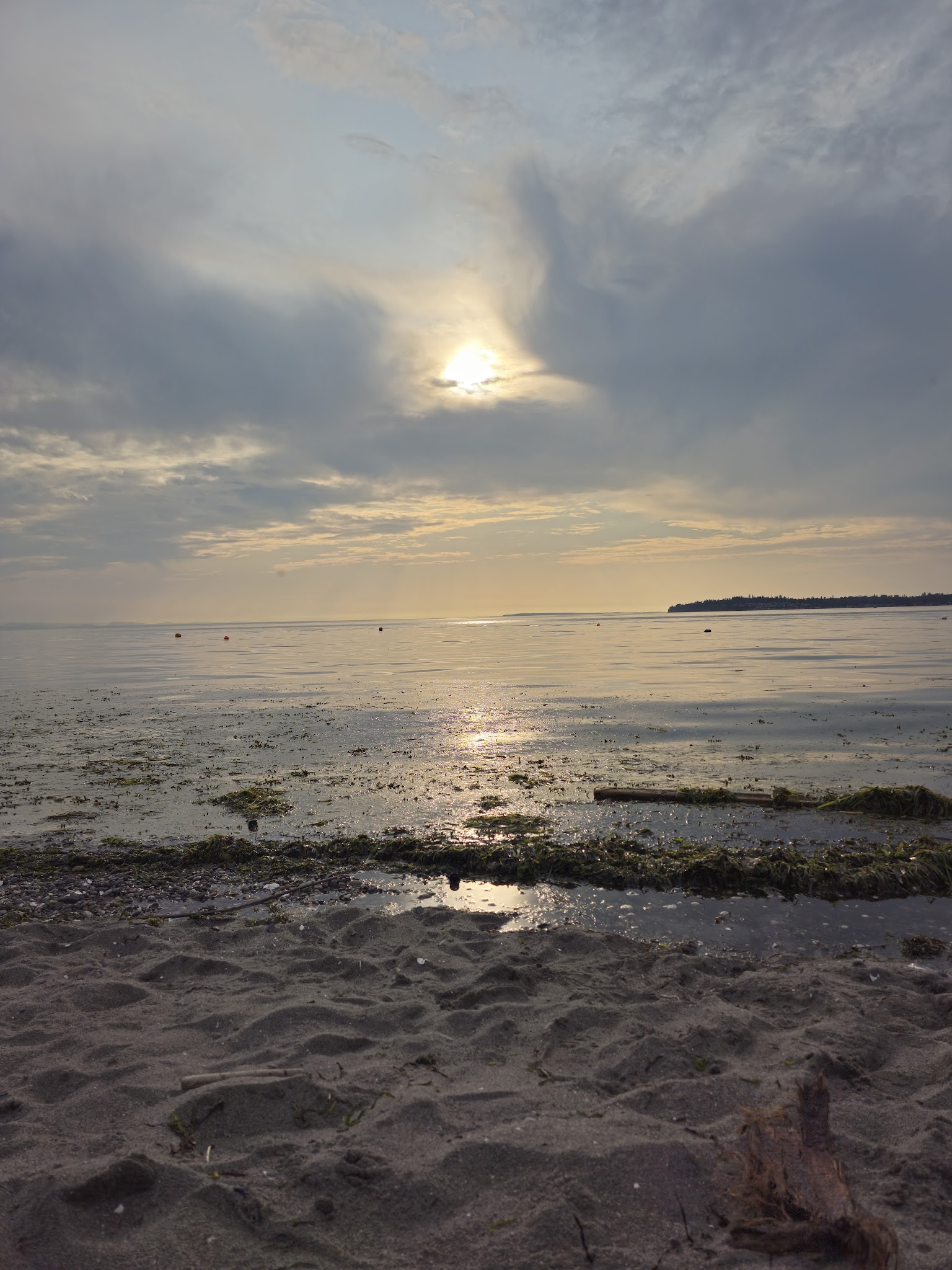 Birch Bay State Park