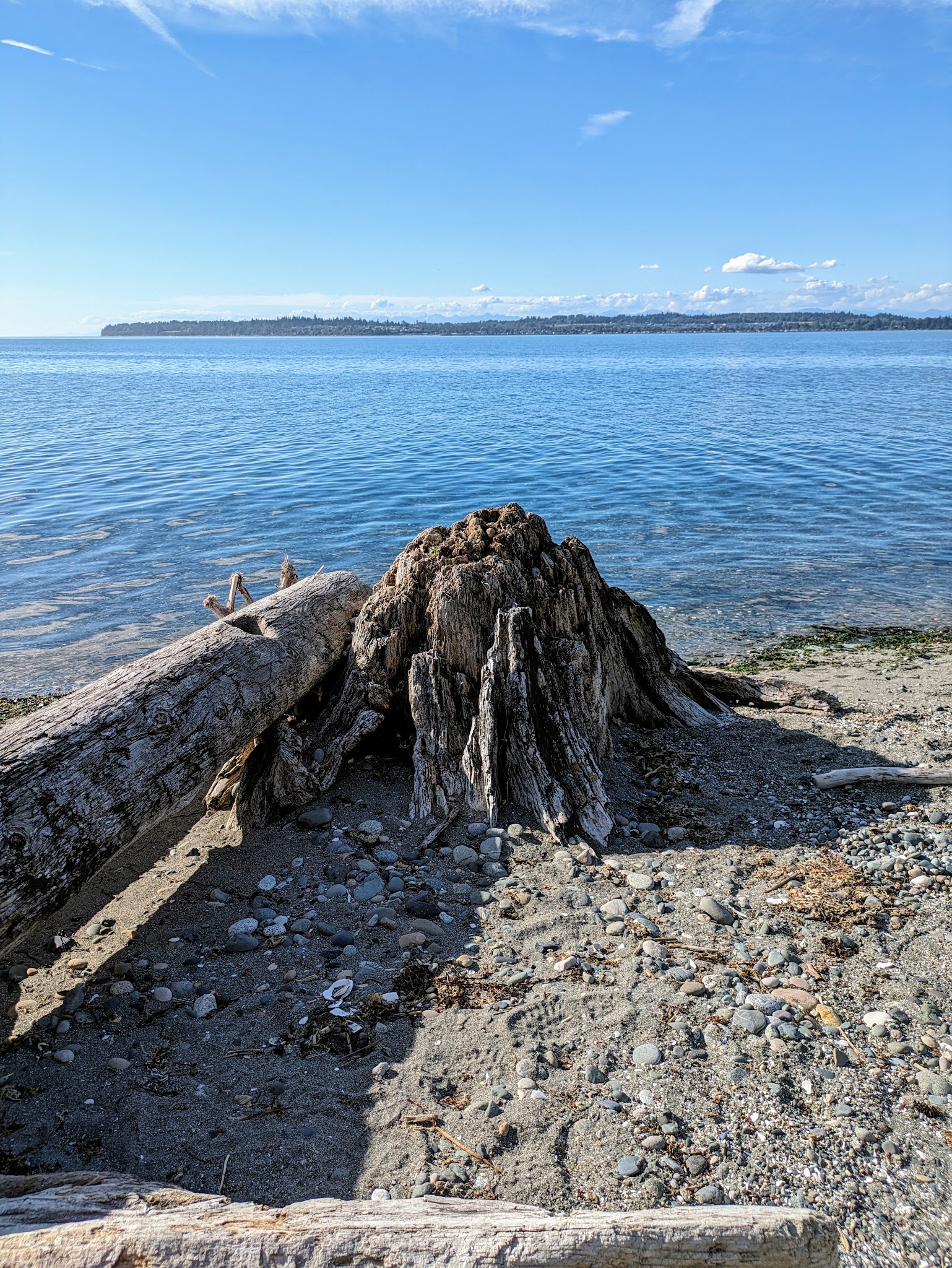 Birch Bay State Park