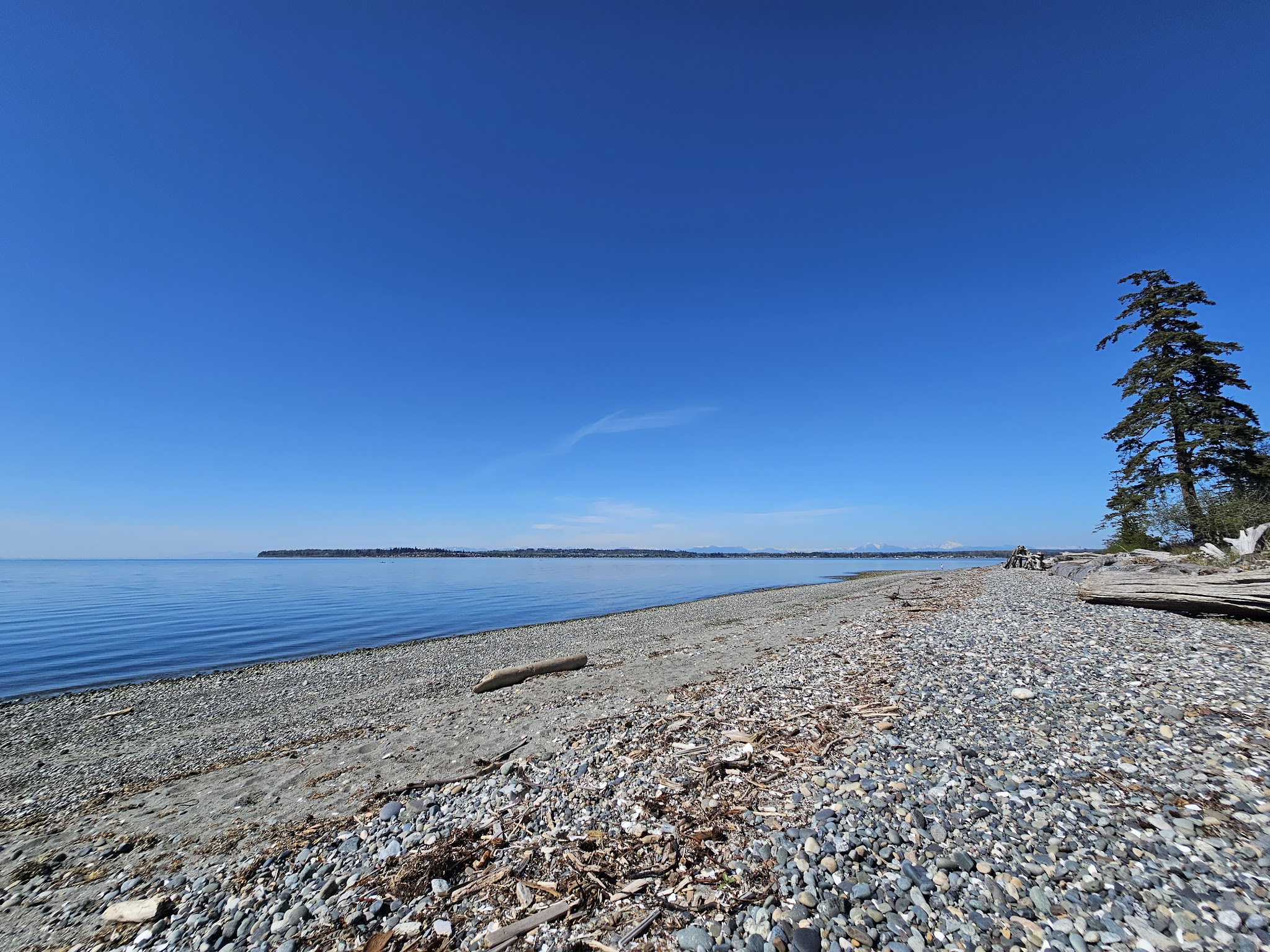 Birch Bay State Park