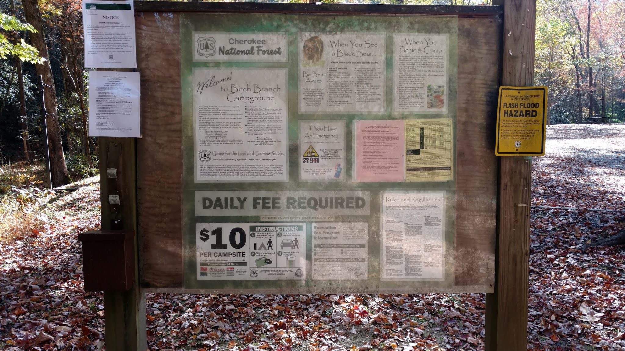 Birch Branch Campground