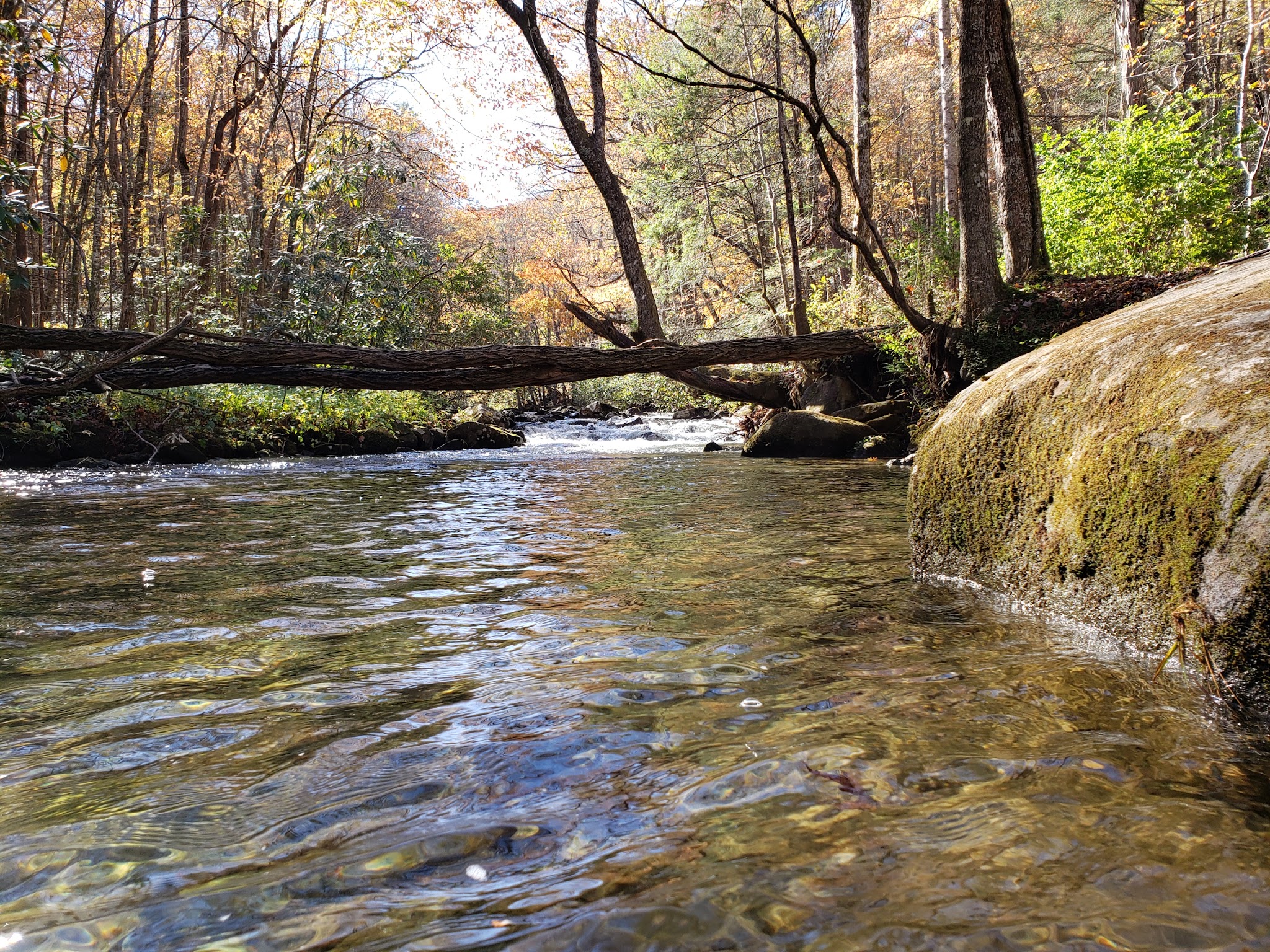 Birch Branch Campground