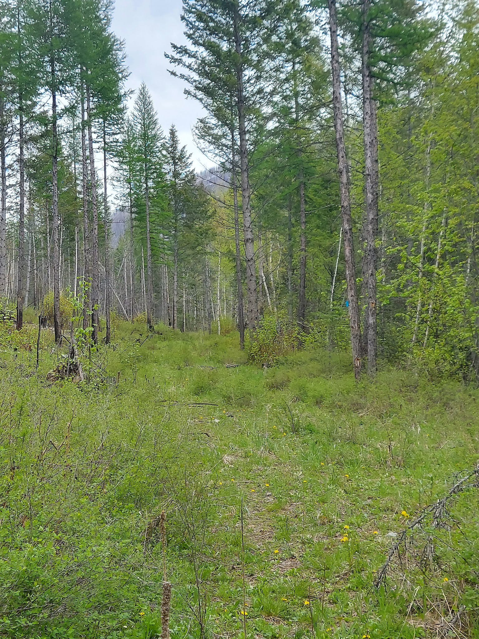 Grave Creek Campground