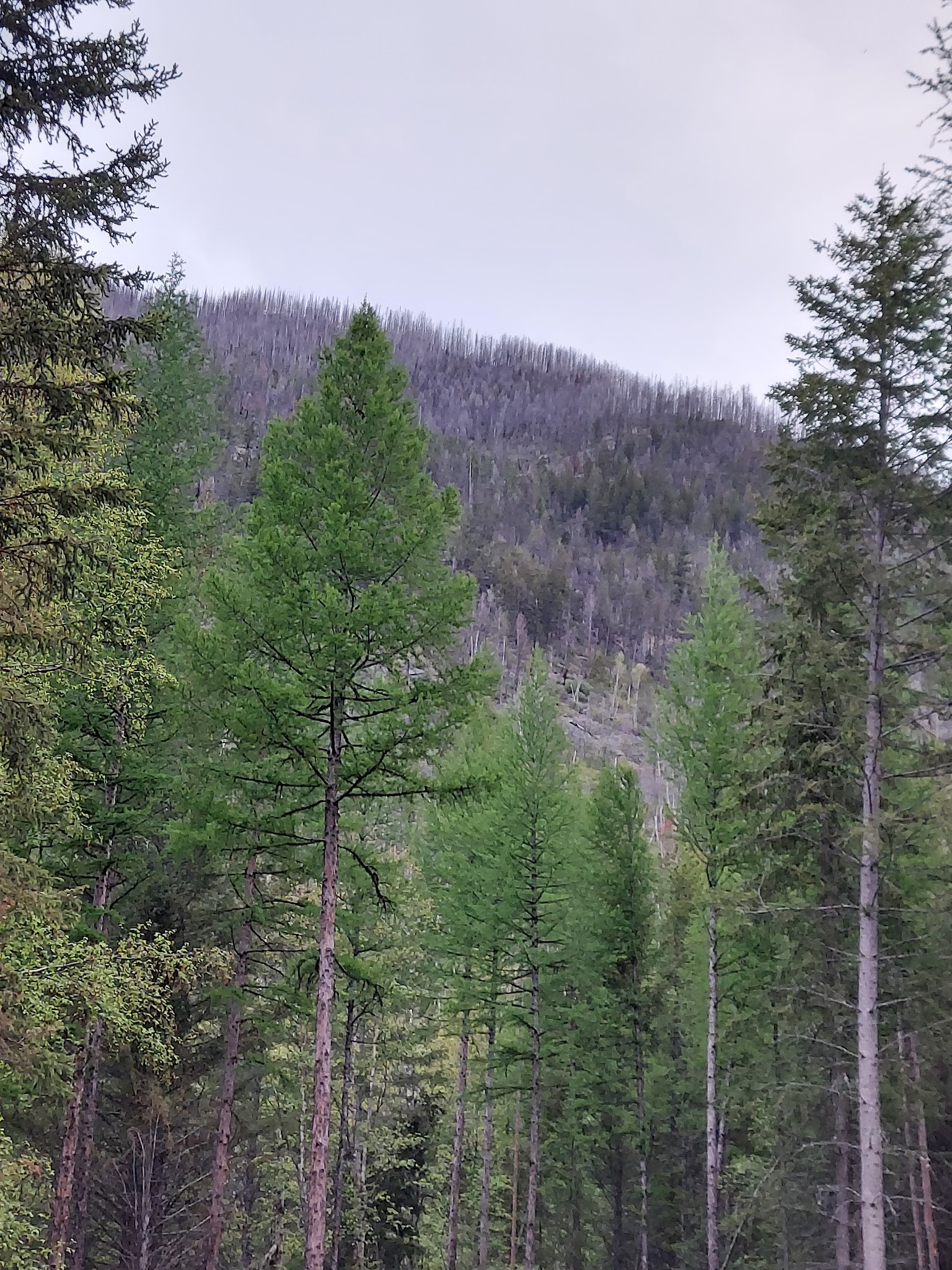 Grave Creek Campground