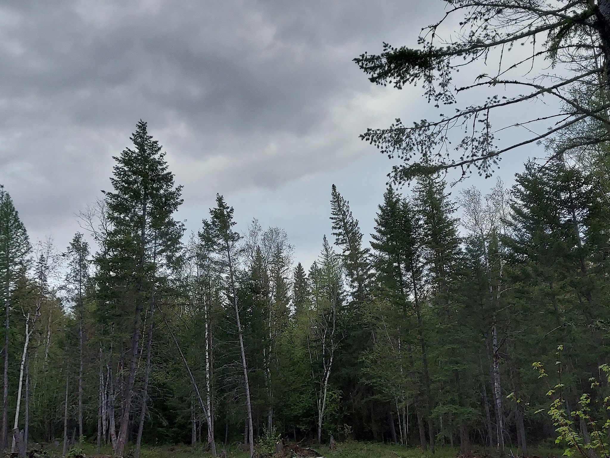 Grave Creek Campground