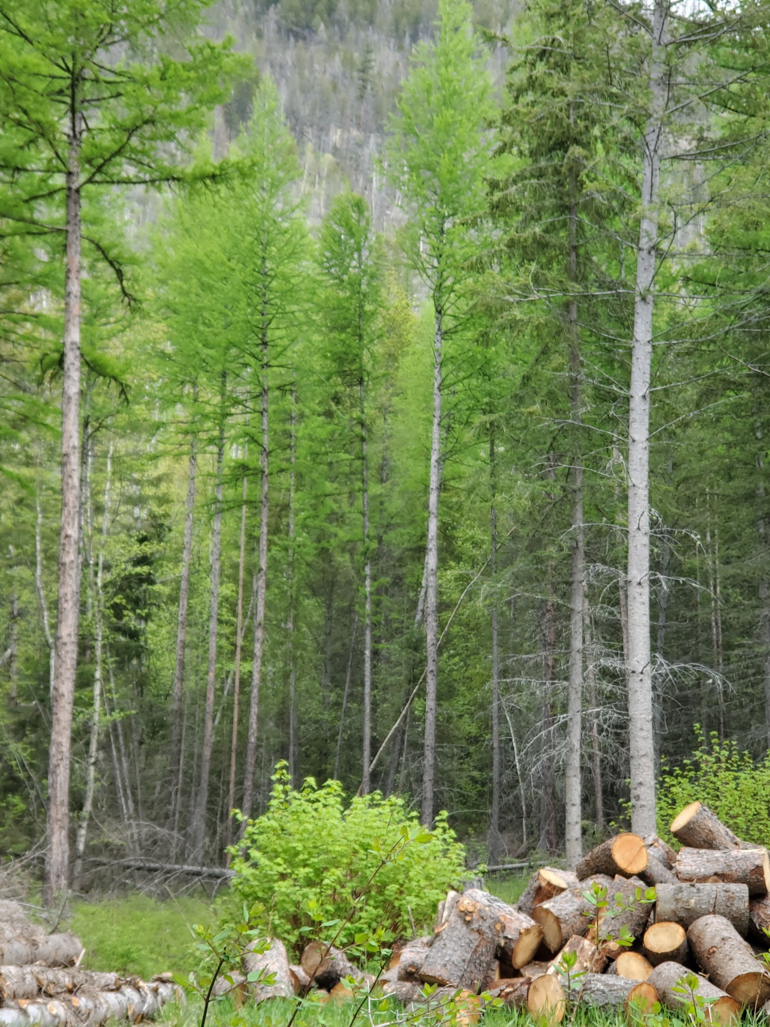 Grave Creek Campground
