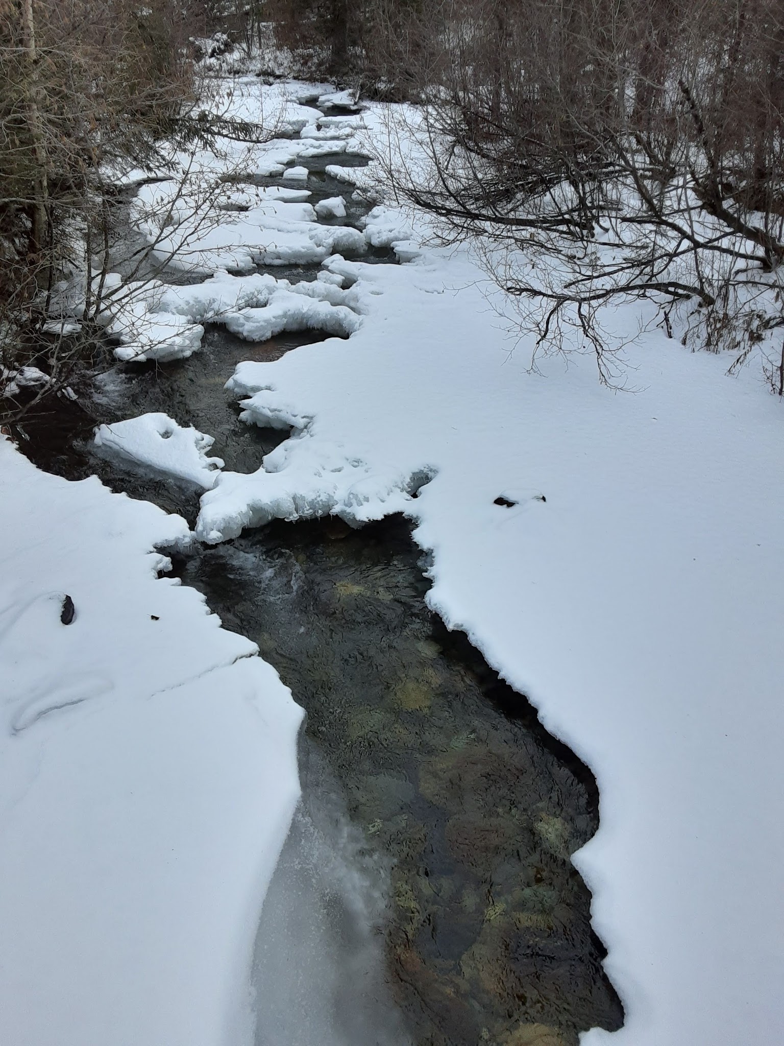 Grave Creek Campground