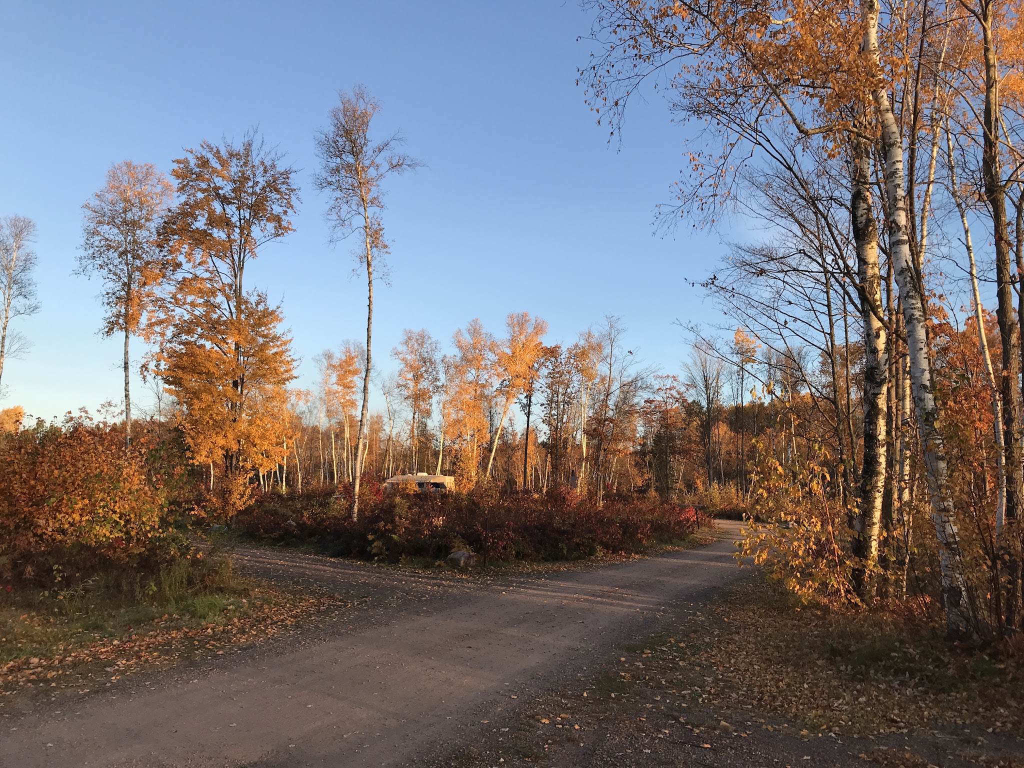 Birch Grove Recreation Area