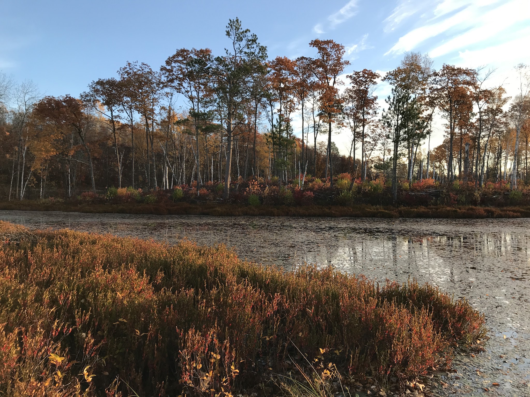 Birch Grove Recreation Area