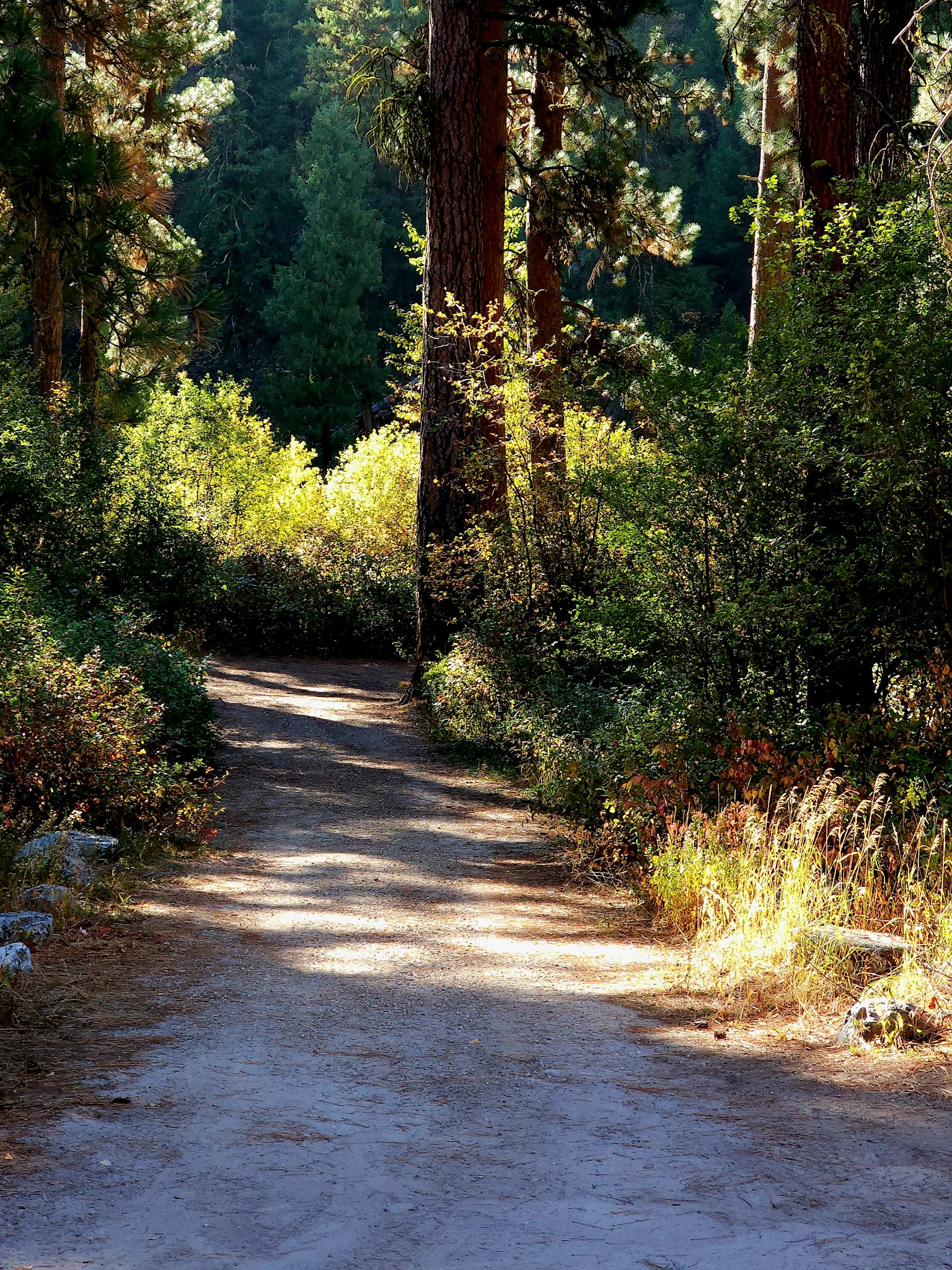 Bird Creek Campground