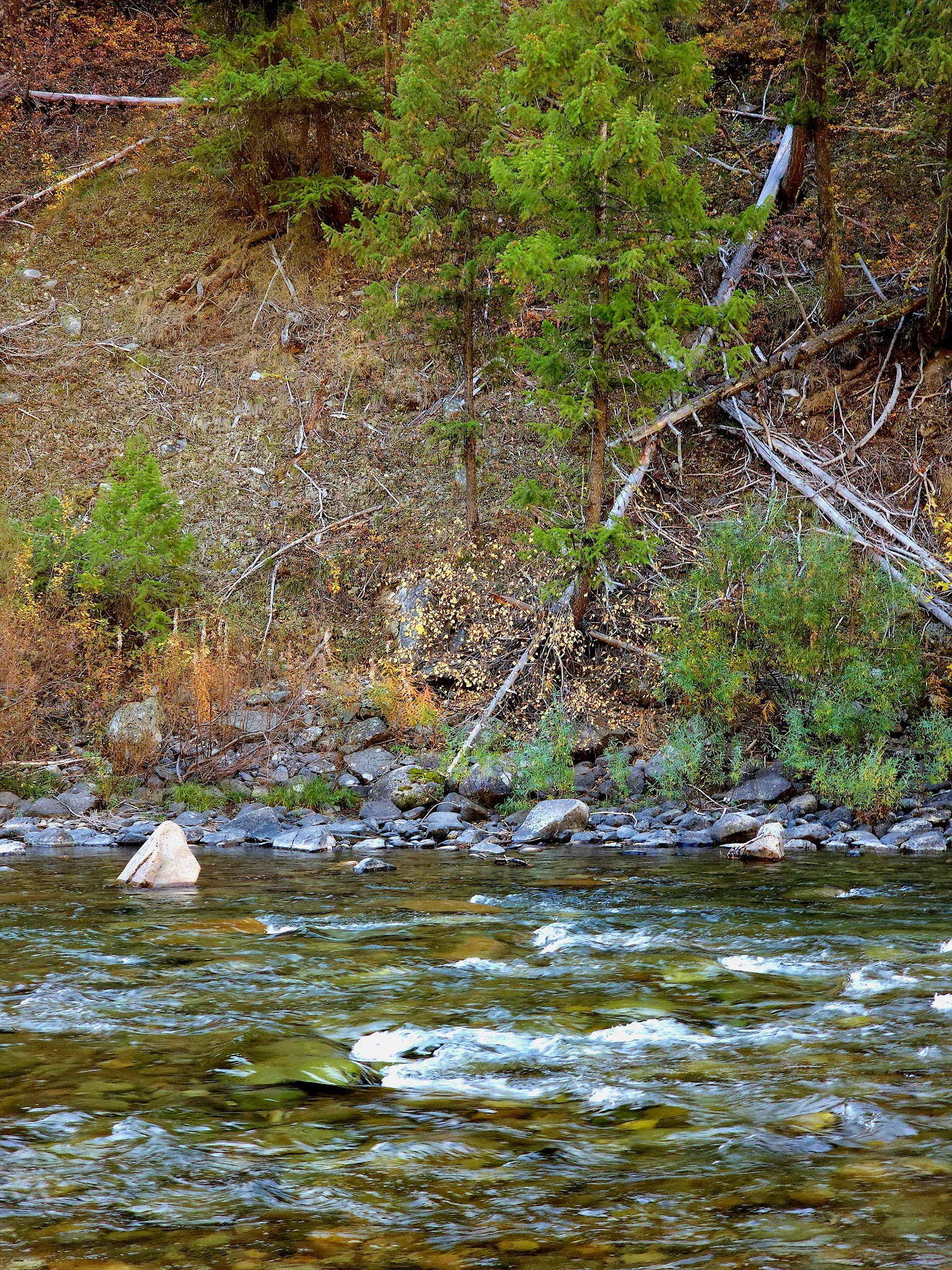 Bird Creek Campground