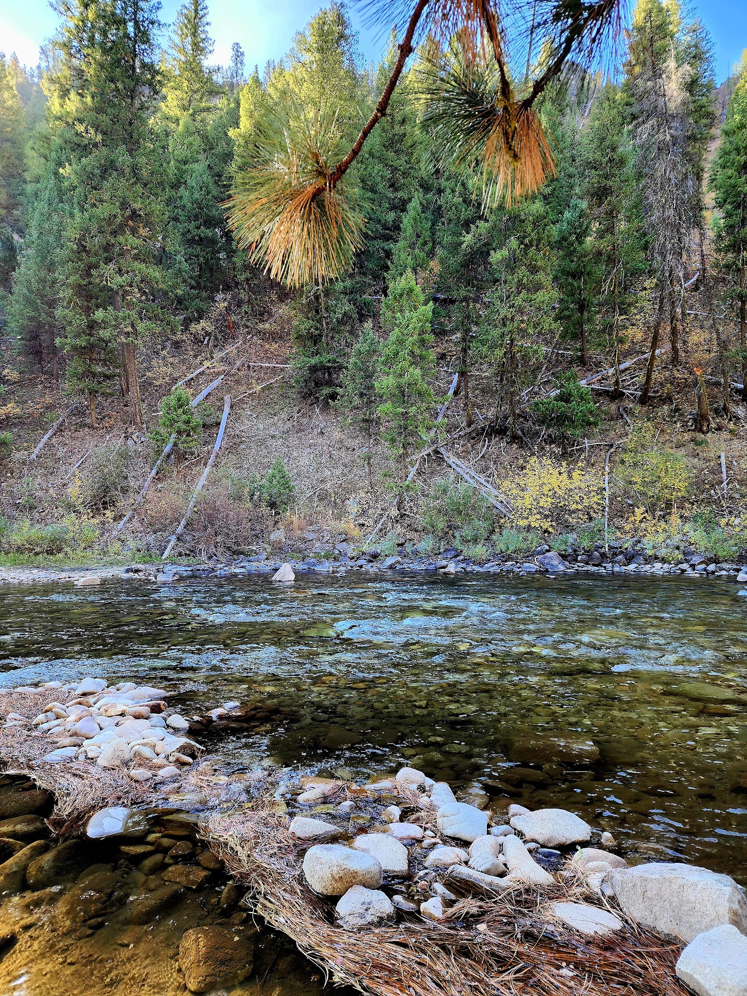 Bird Creek Campground