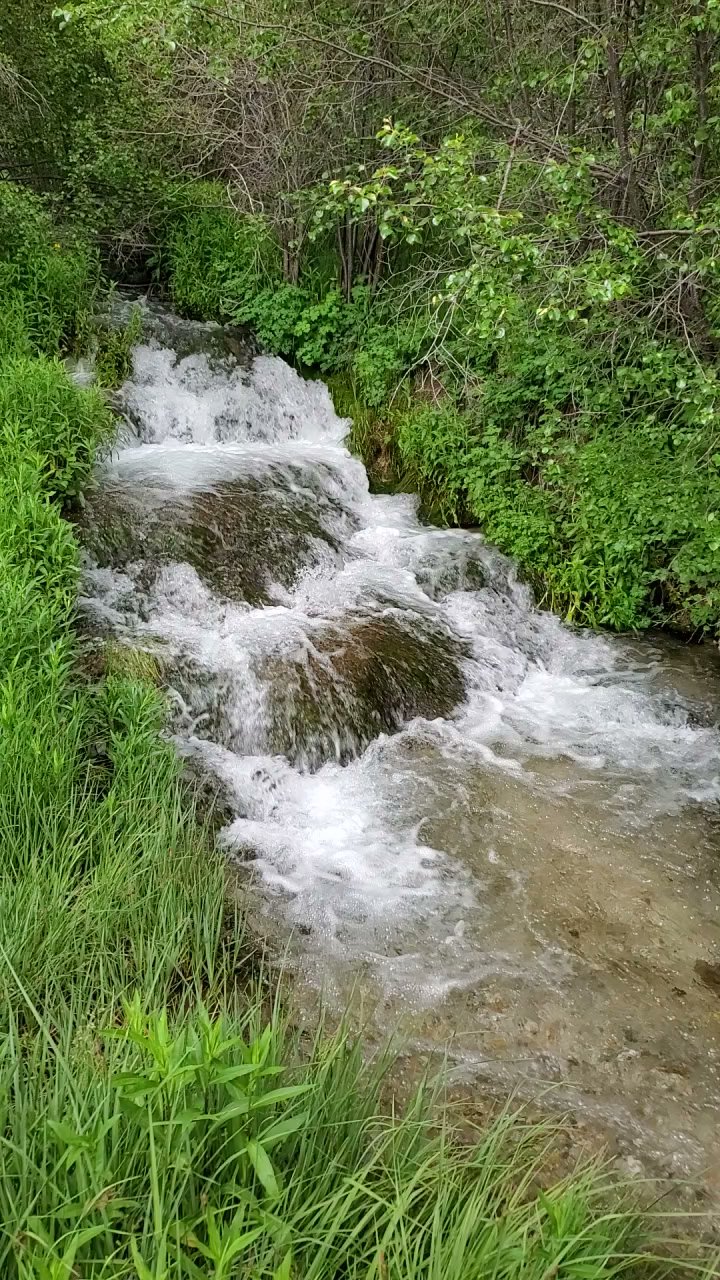 Bird Creek Campground