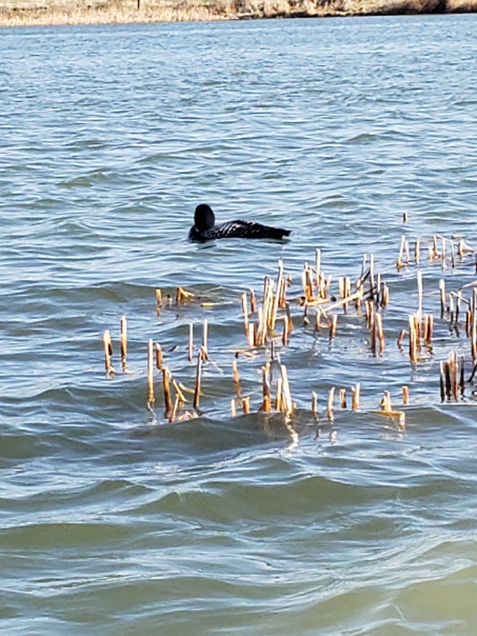 Lake Elmo State Park