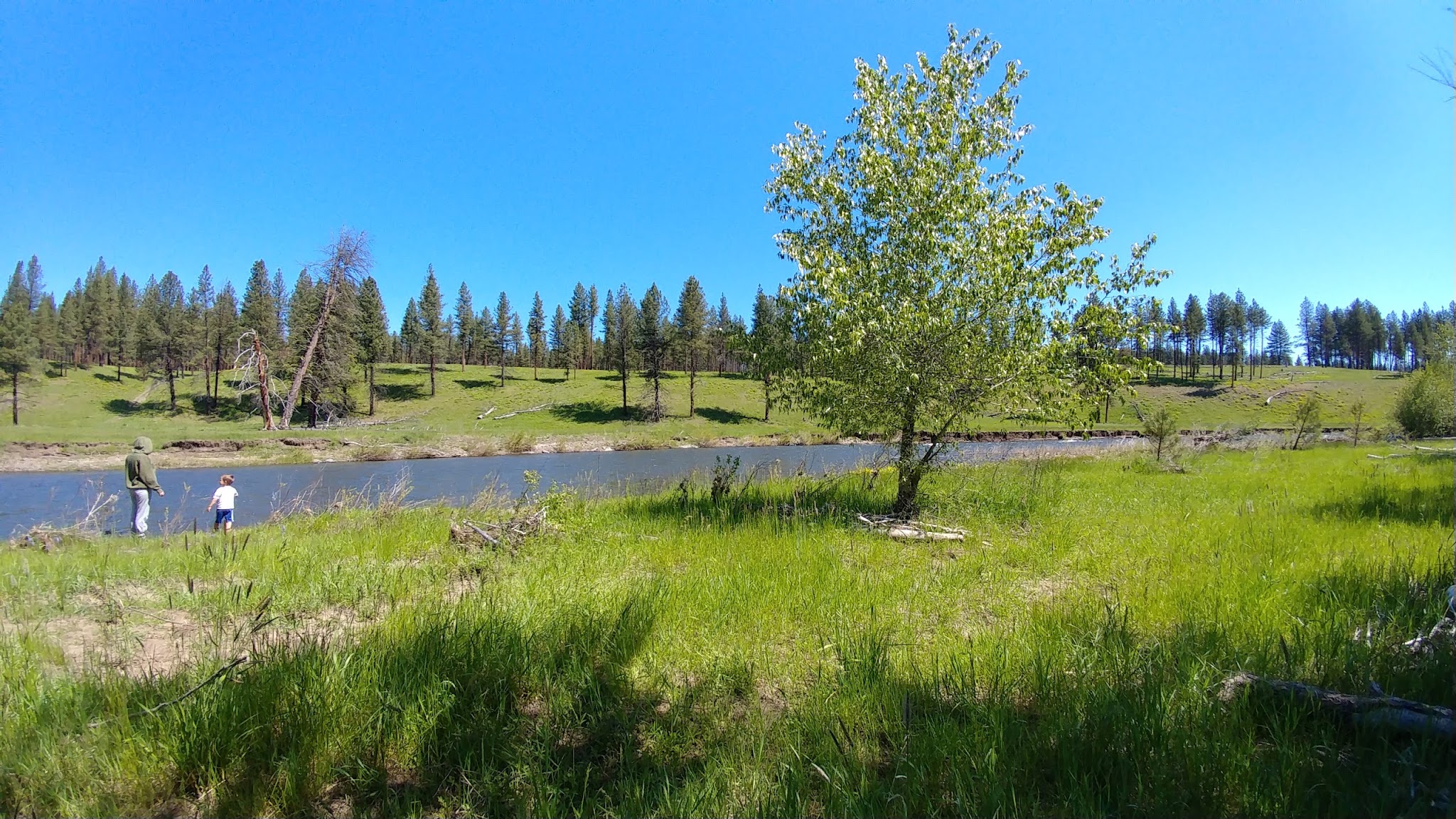 Bird Track Springs Campground