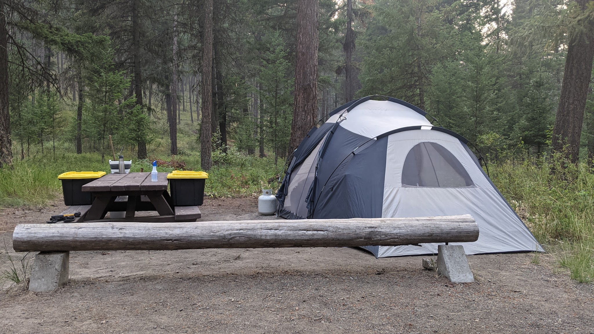 Bird Track Springs Campground