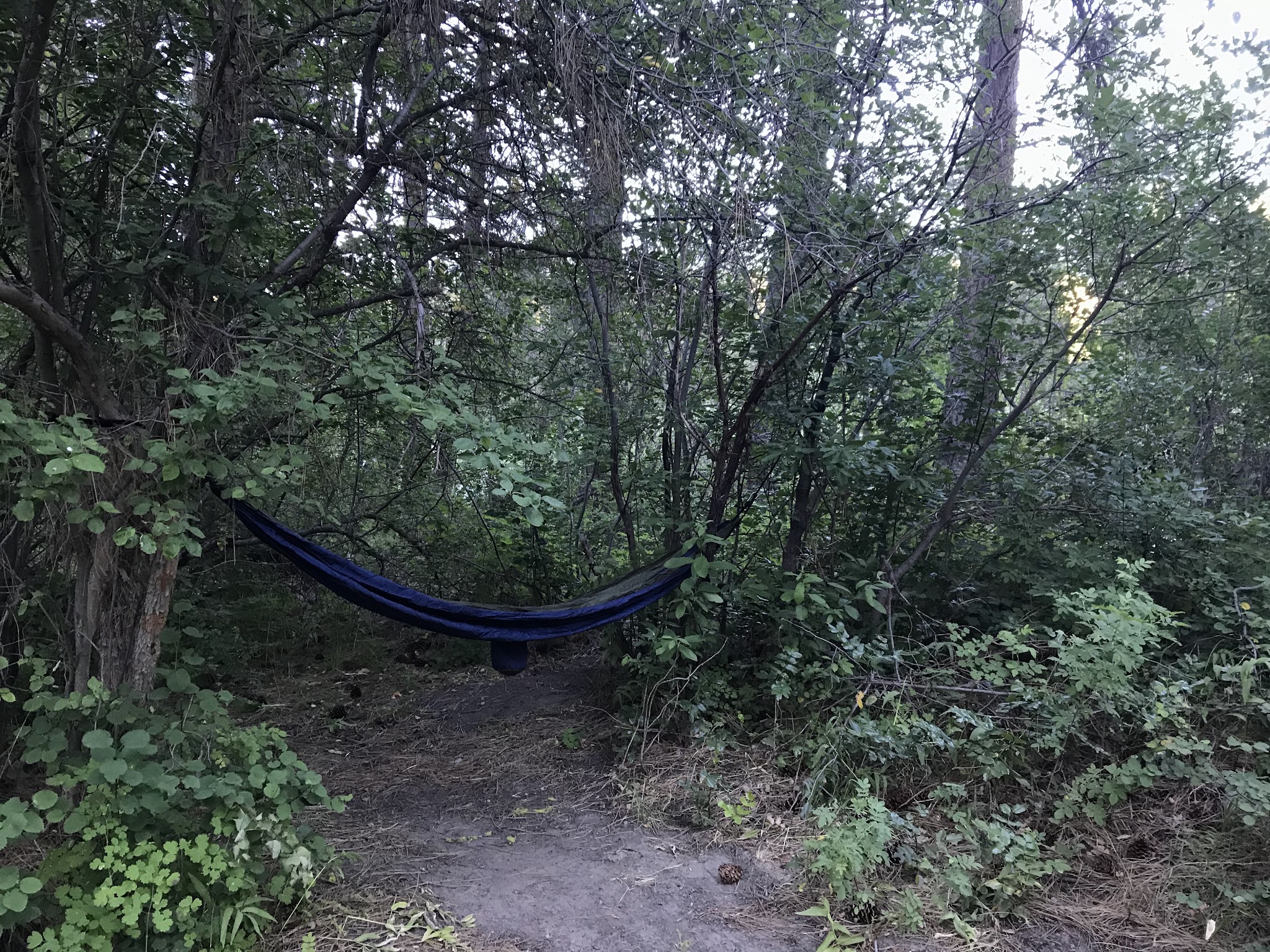 Bird Creek Campground