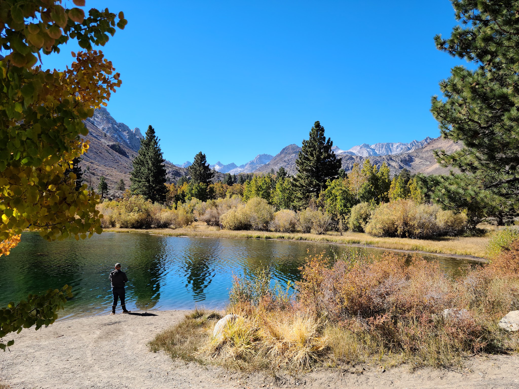 Bishop Park Campground (Ca)