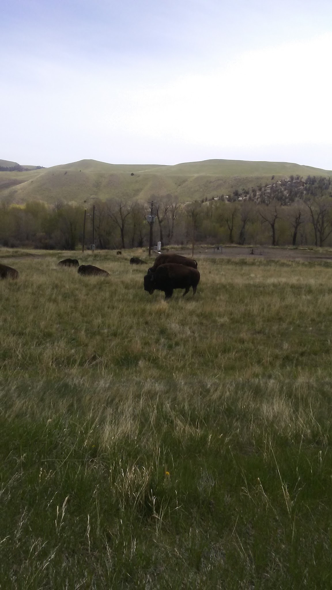 Wood River Campground