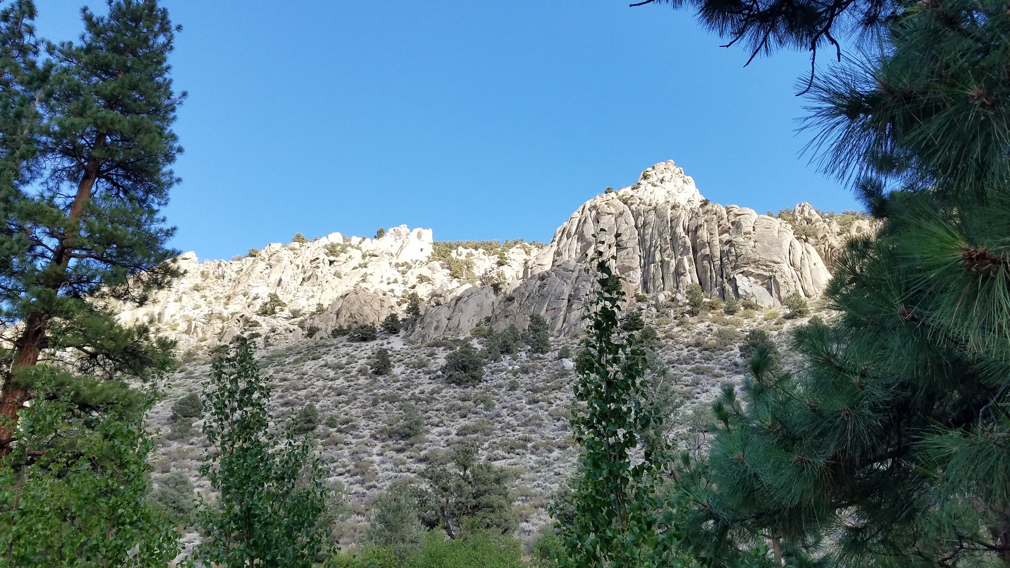 Bitterbrush Campground