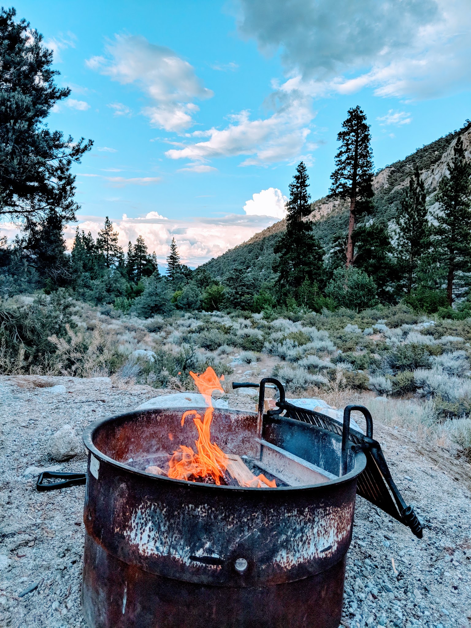 Bitterbrush Campground