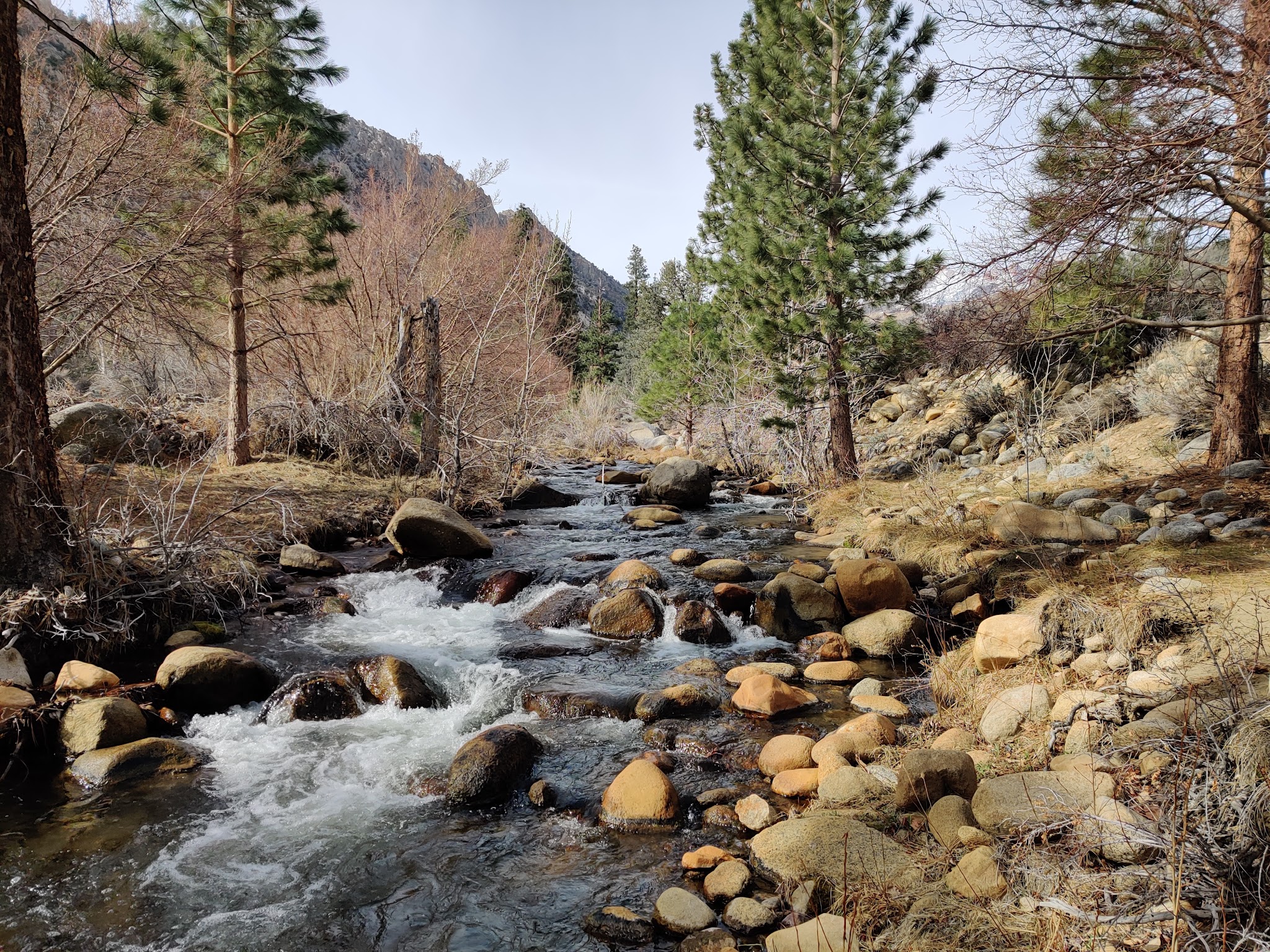 Bitterbrush Campground