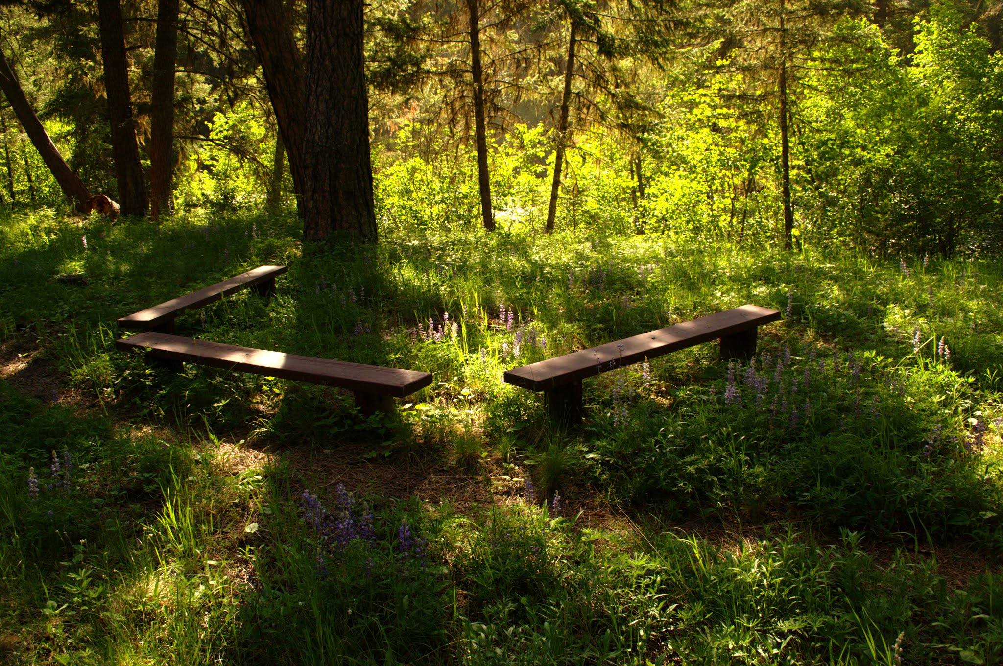 Bitterroot Flat Campground