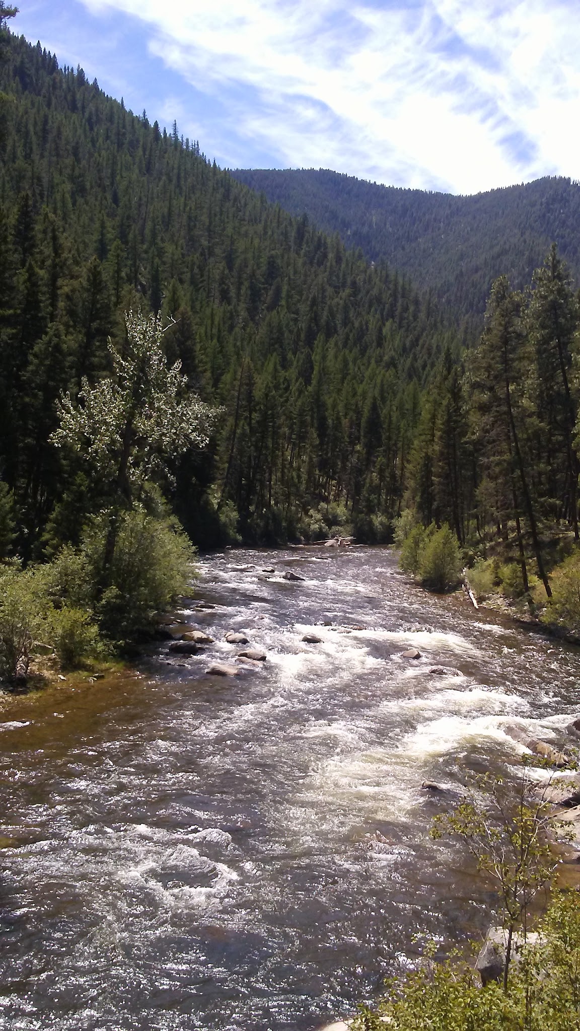 Bitterroot Flat Campground
