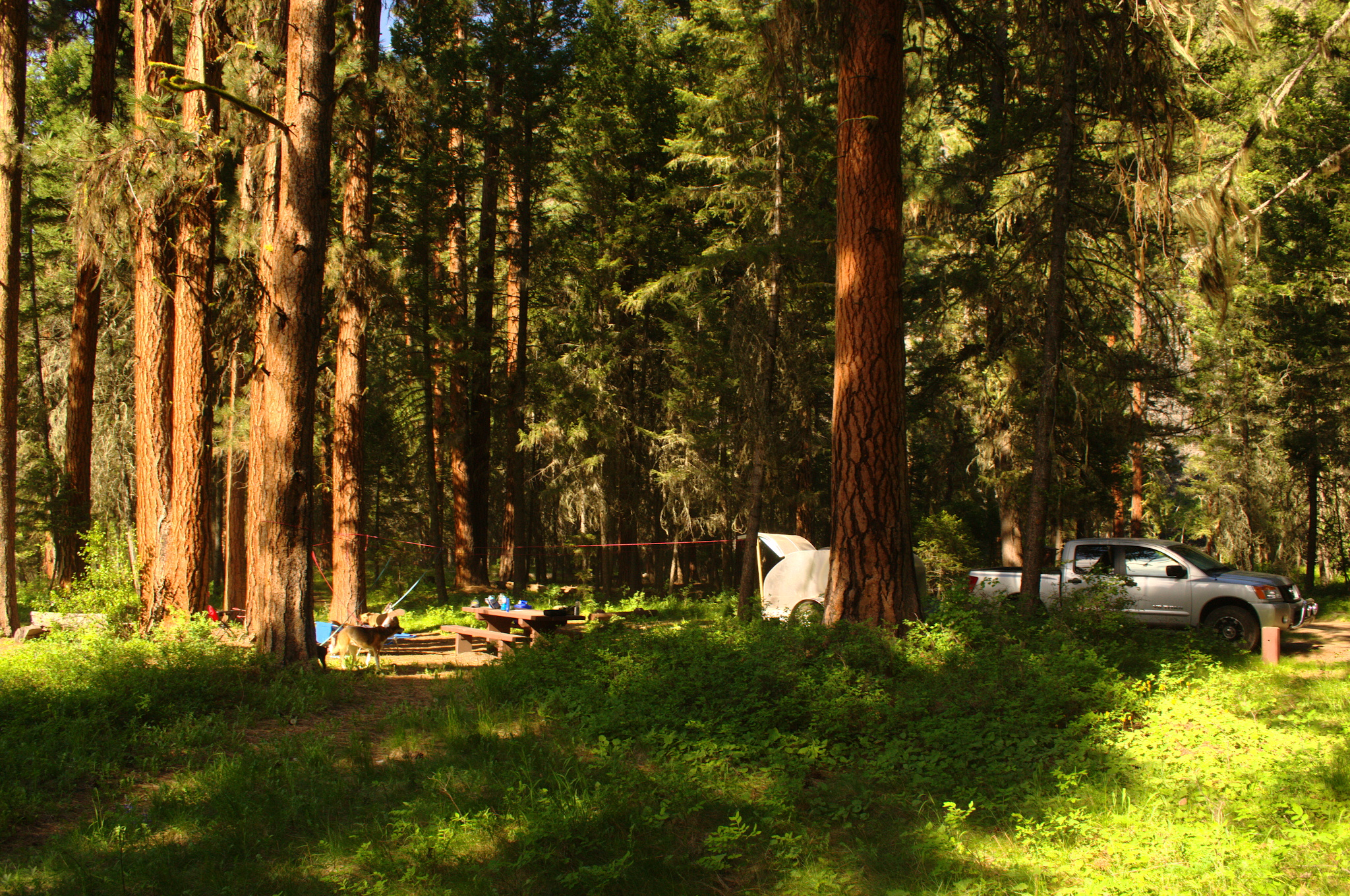 Bitterroot Flat Campground