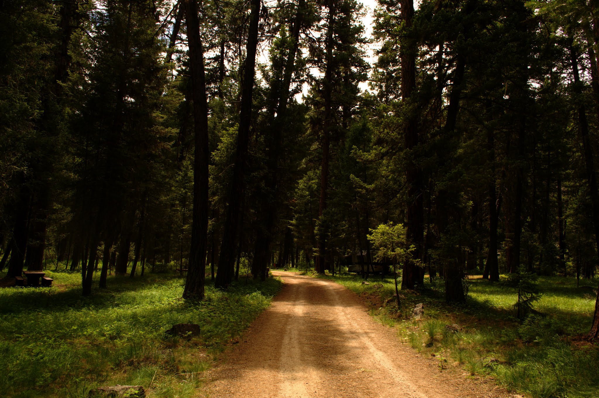 Bitterroot Flat Campground
