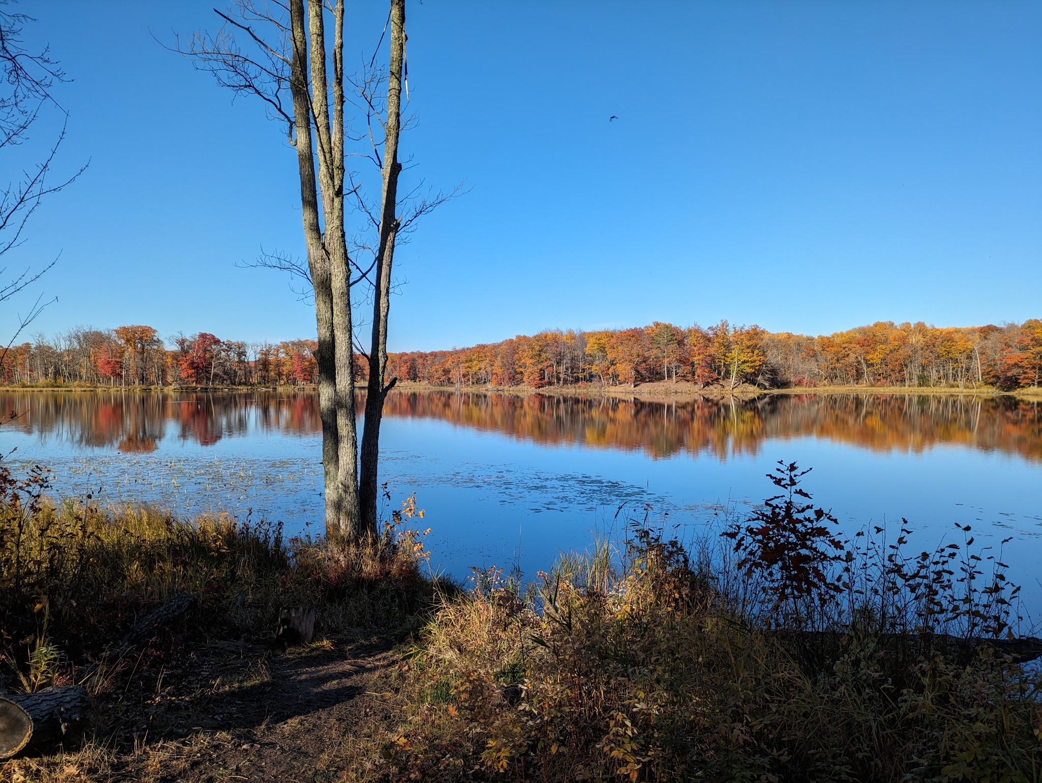 Backpack Campsites Campground