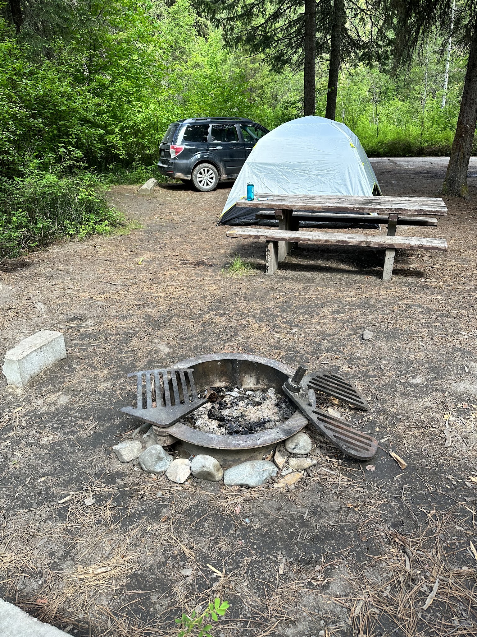Black Bear Campground