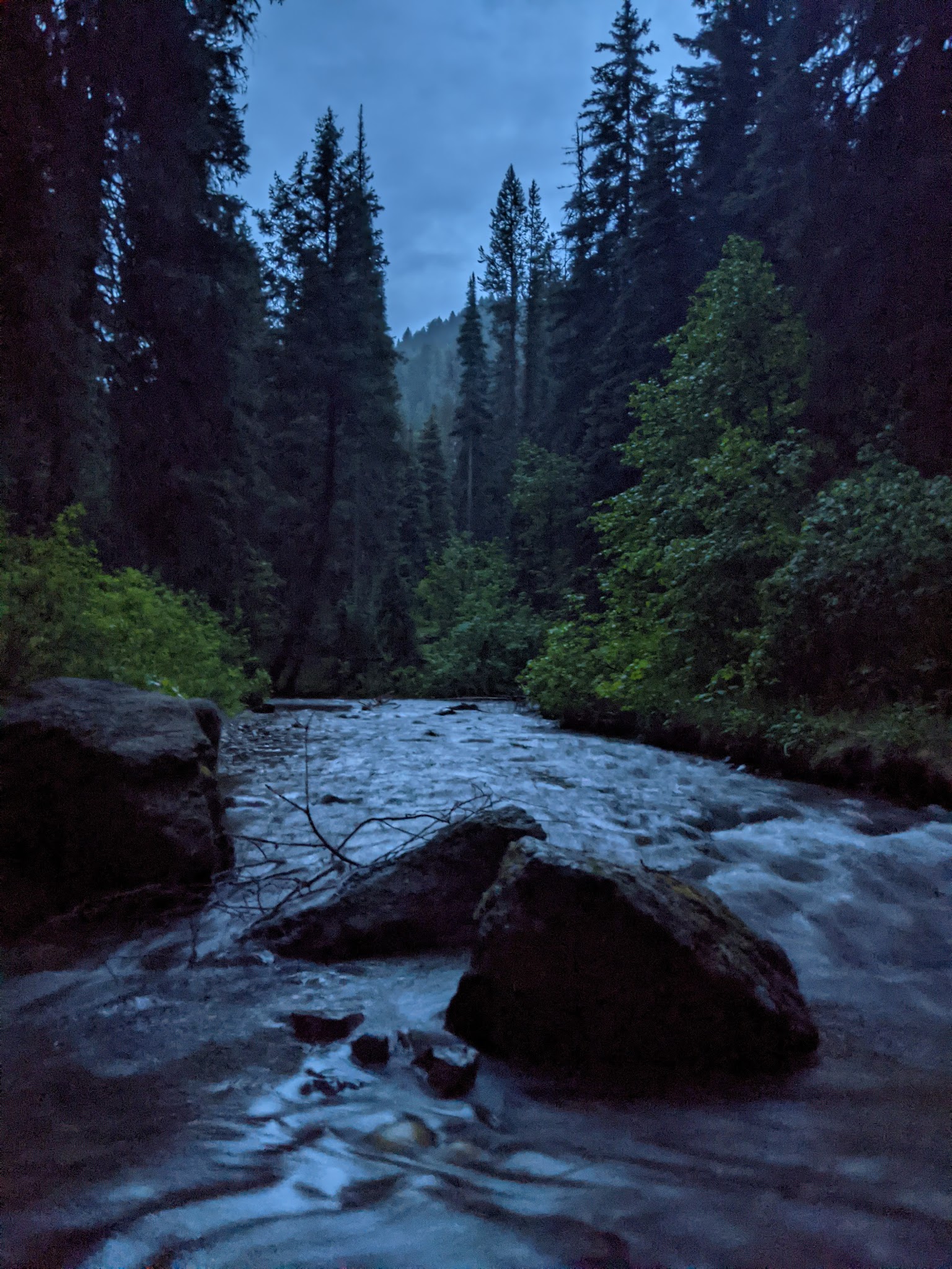 Black Bear Campground