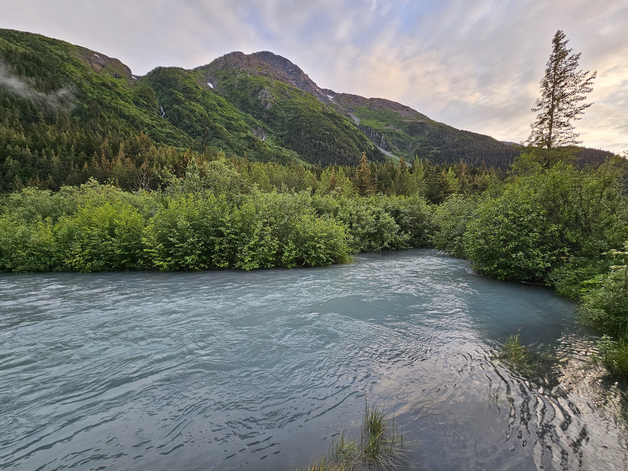 Black Bear Campground