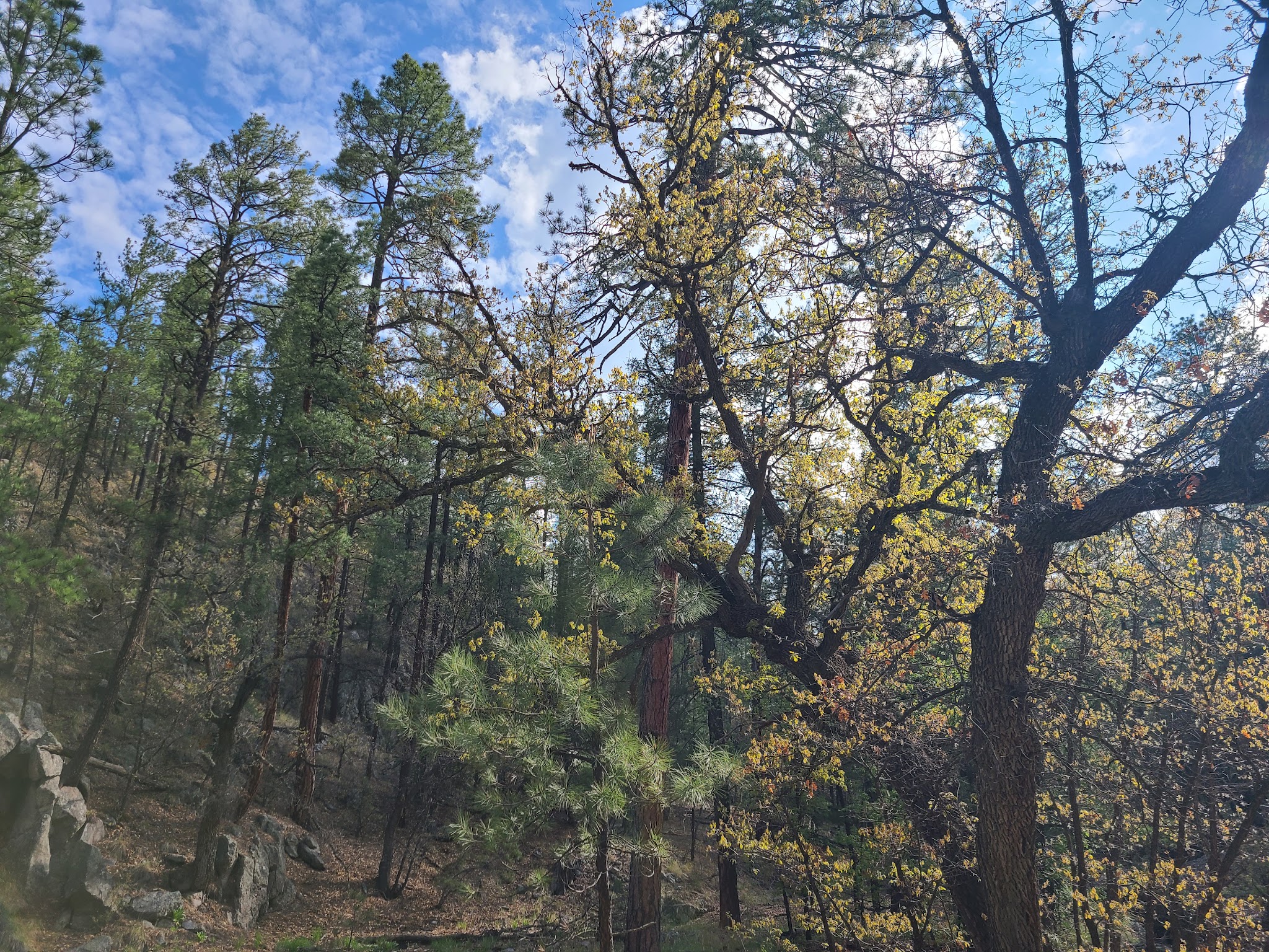 Black Canyon Campground - Upper