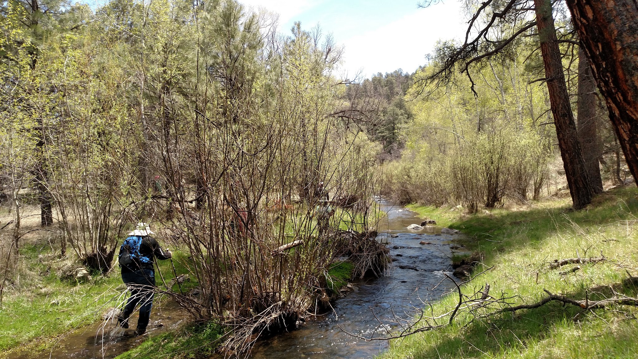 Black Canyon Campground - Lower