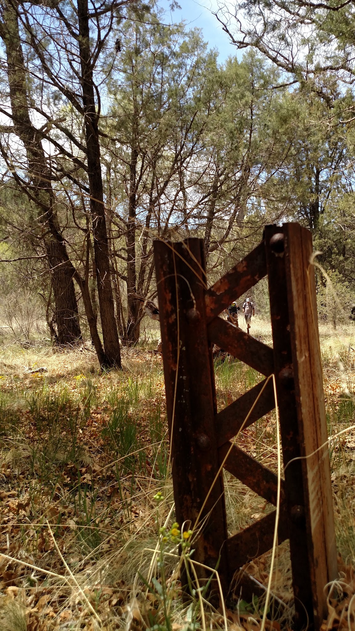 Black Canyon Campground - Lower
