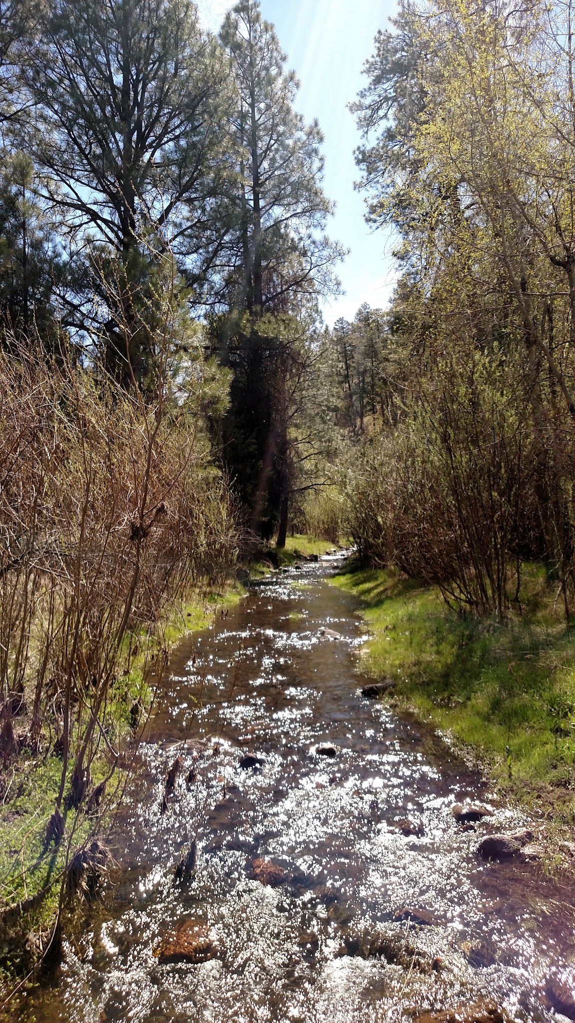 Black Canyon Campground - Lower