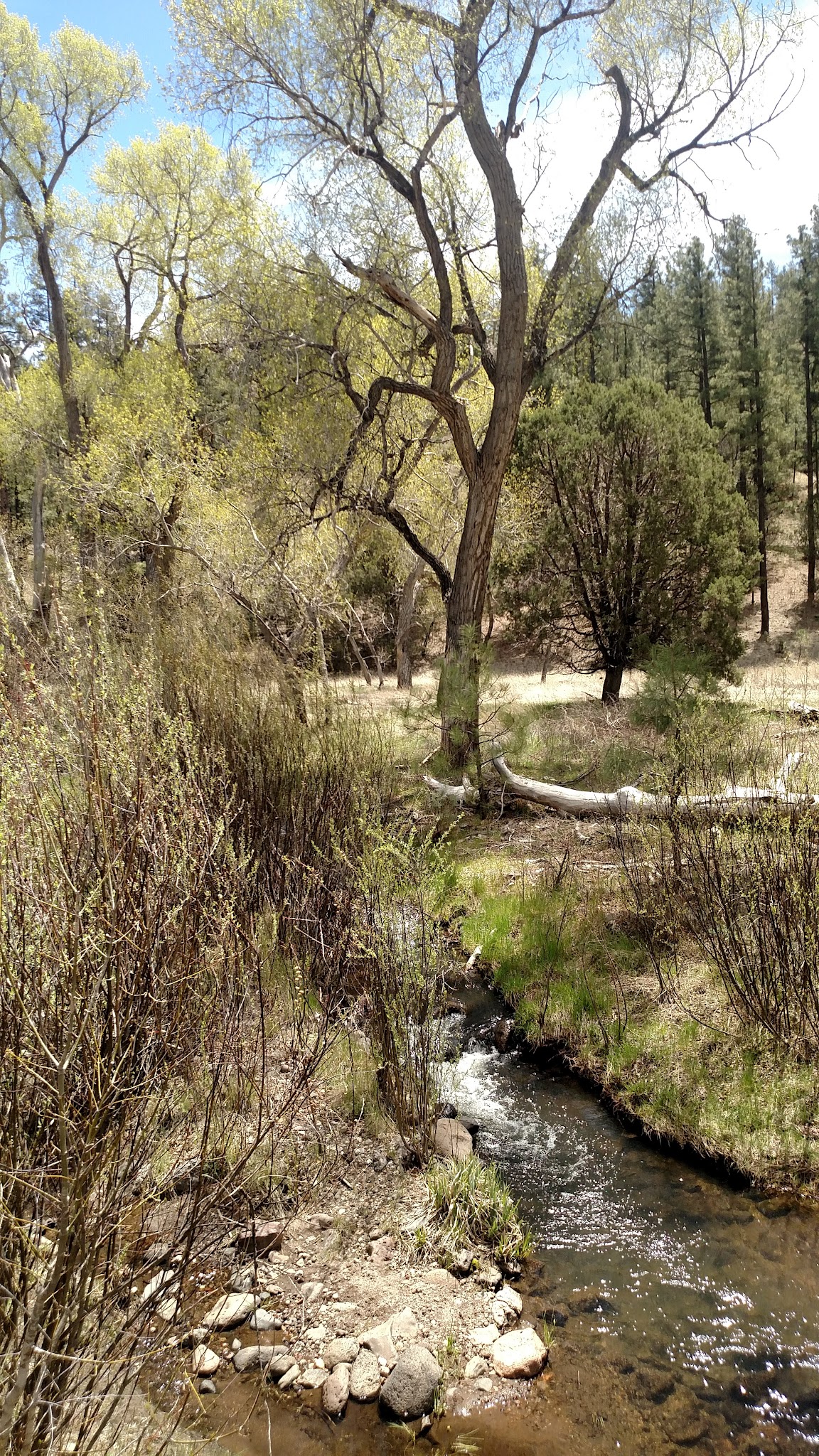 Black Canyon Campground - Lower