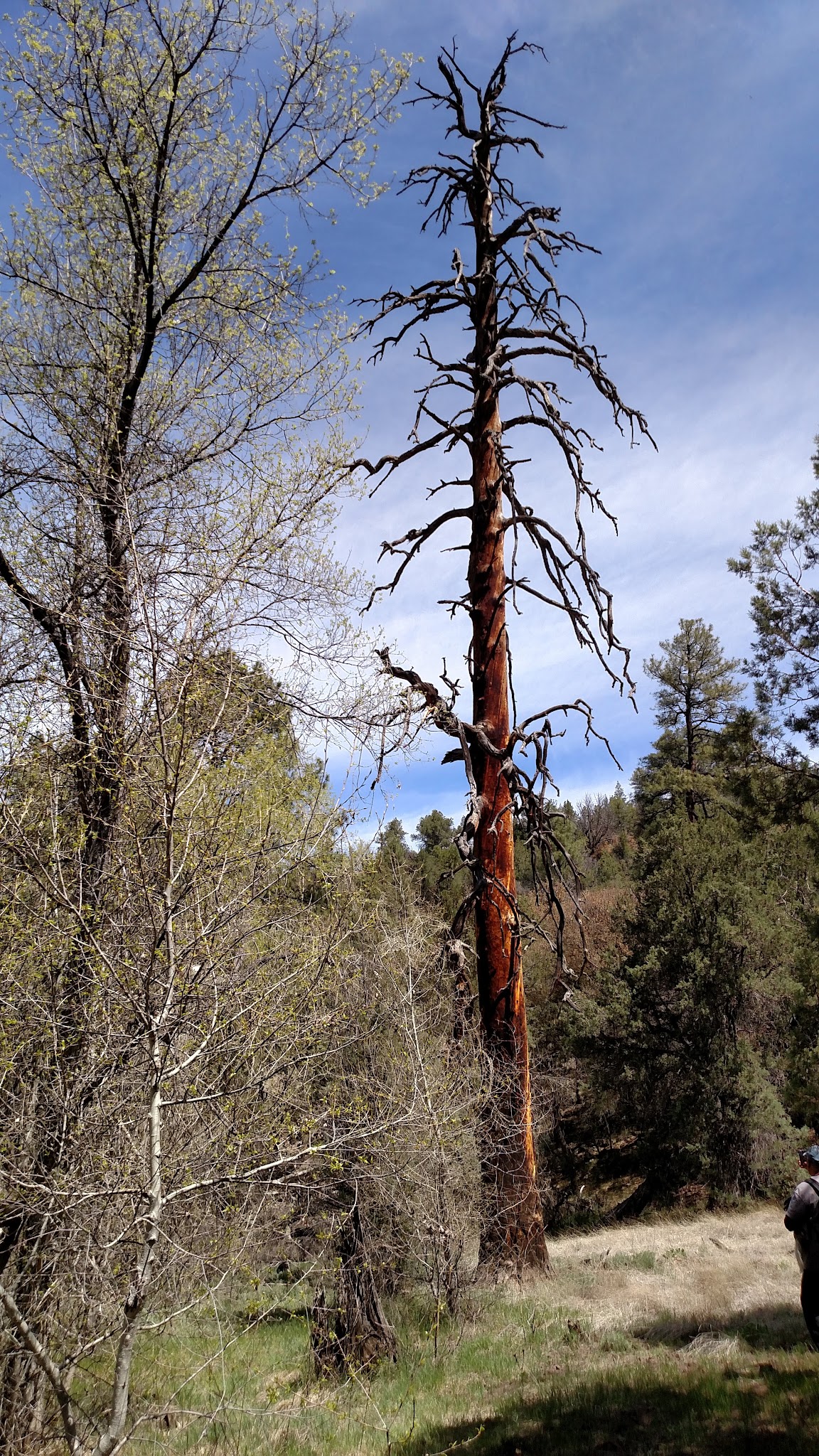 Black Canyon Campground - Lower