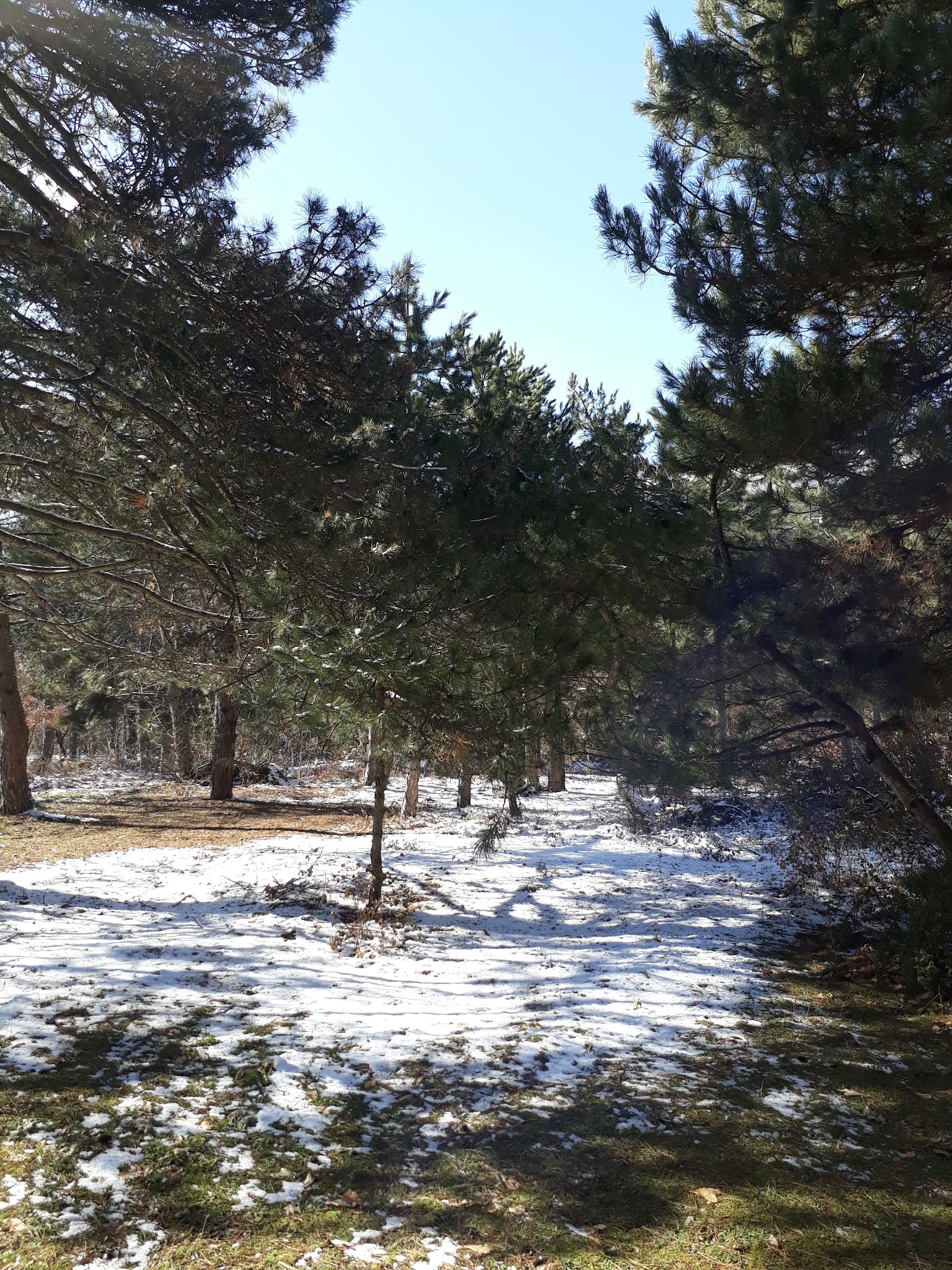 Black Canyon Campground - Upper