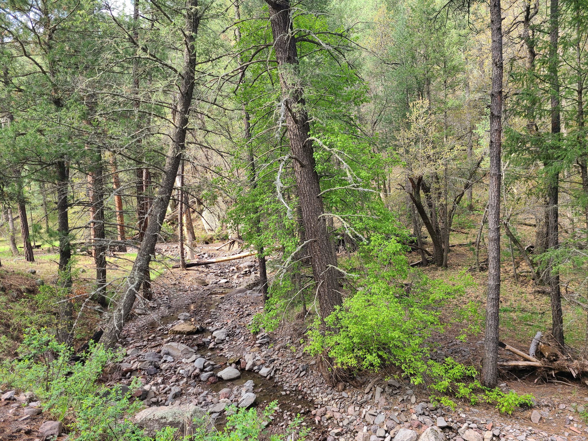 Black Canyon Campground - Upper