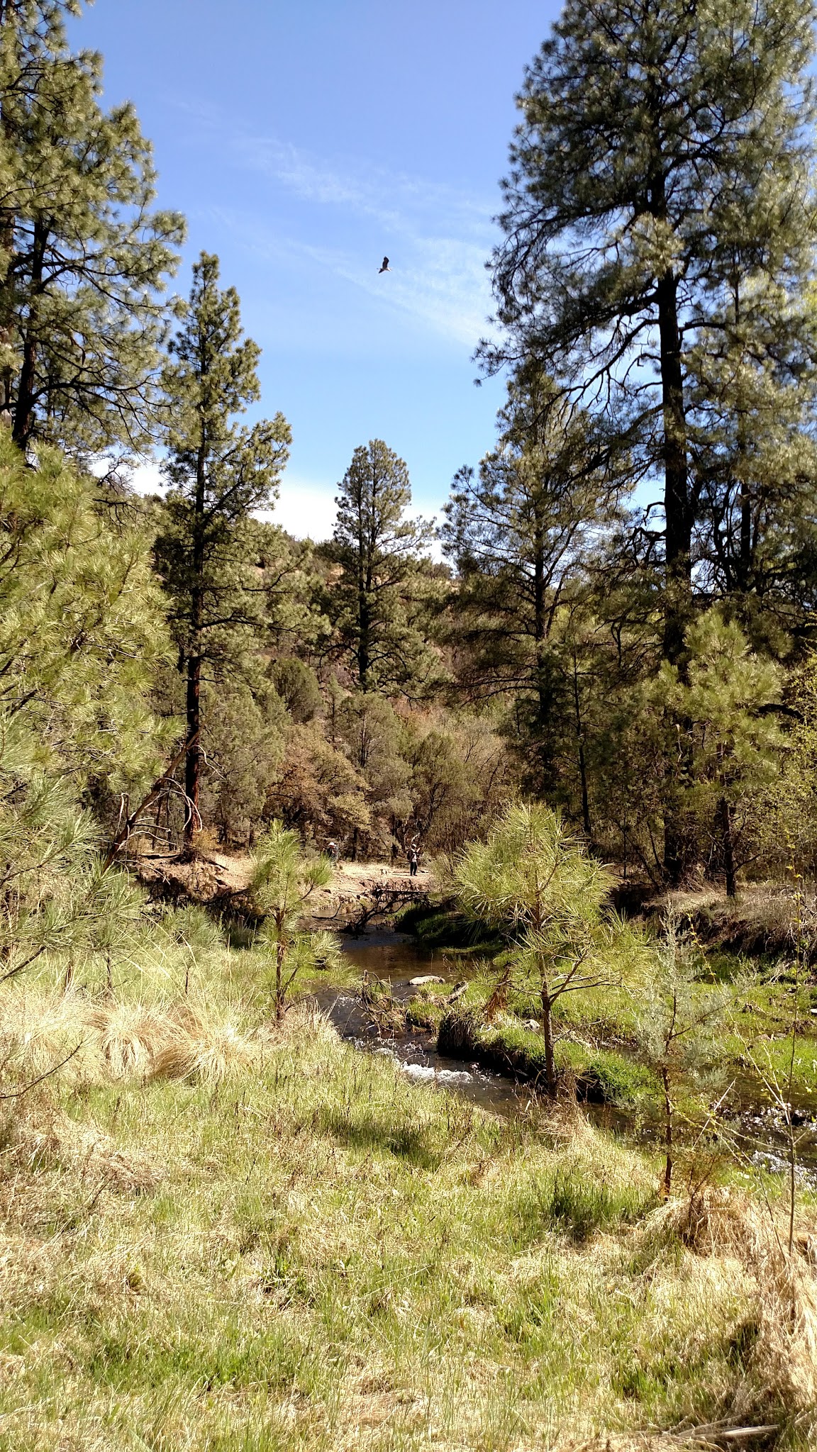 Black Canyon Campground - Lower
