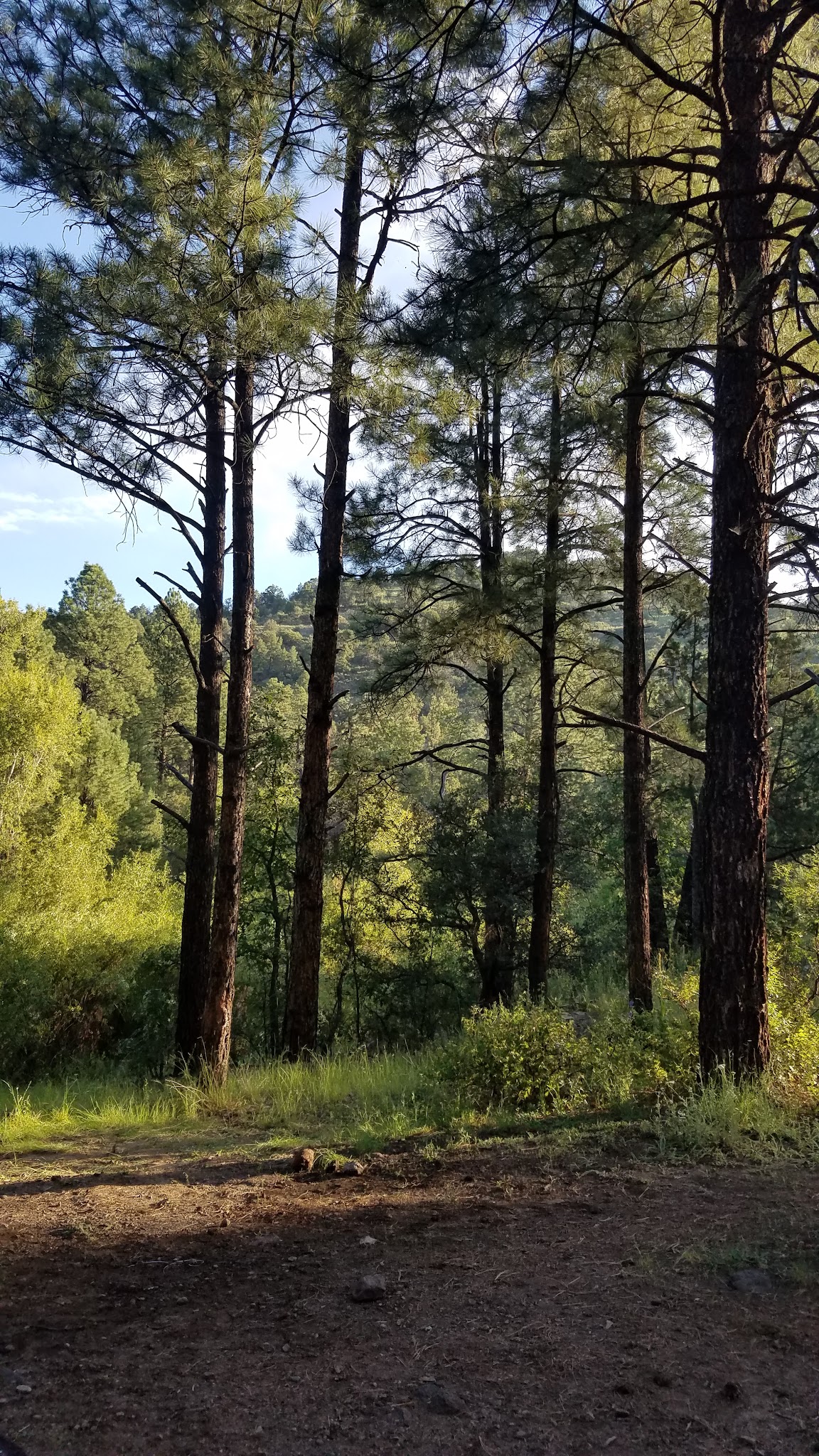 Black Canyon Campground - Upper