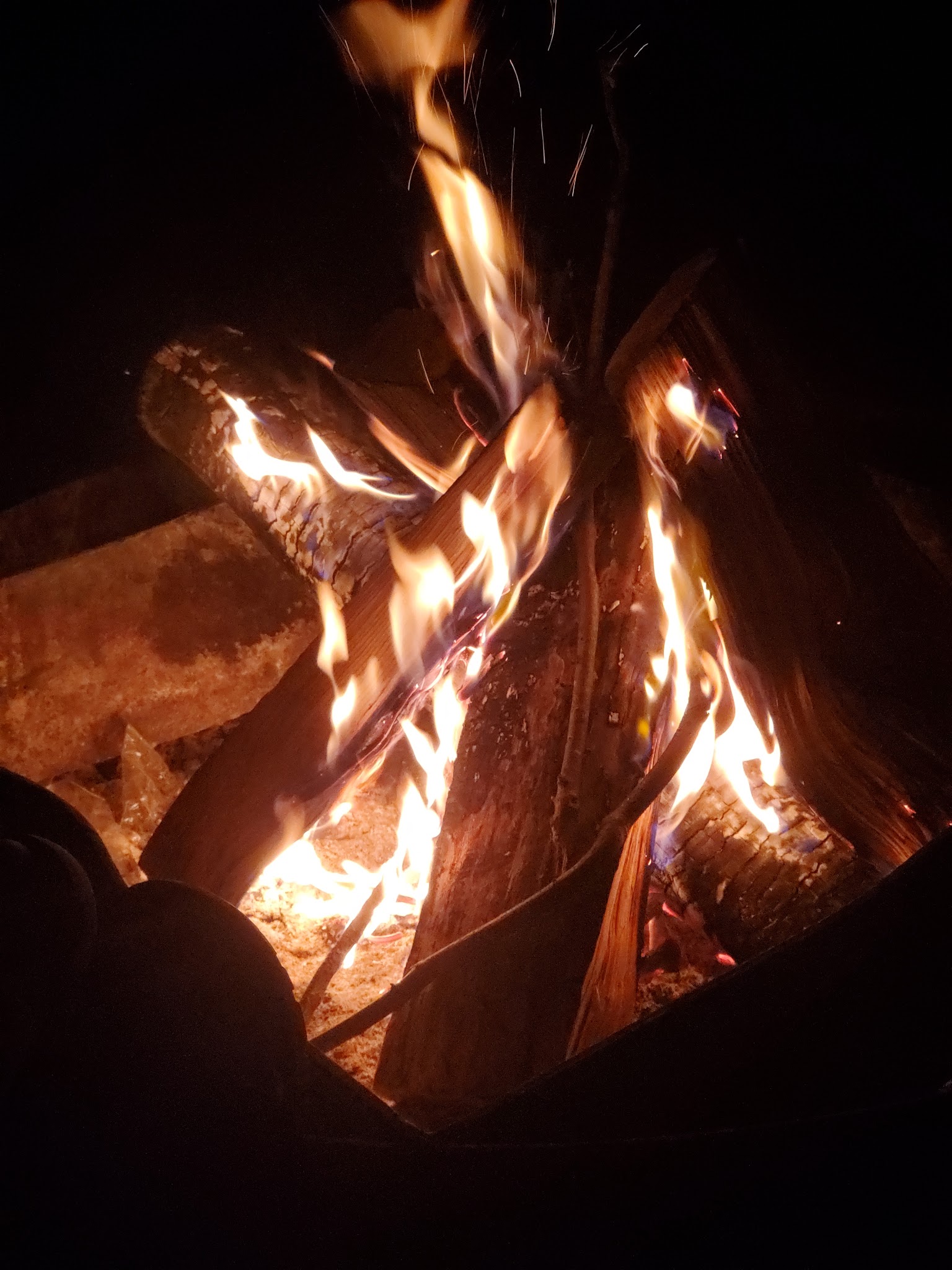 Black Creek State Forest Campground