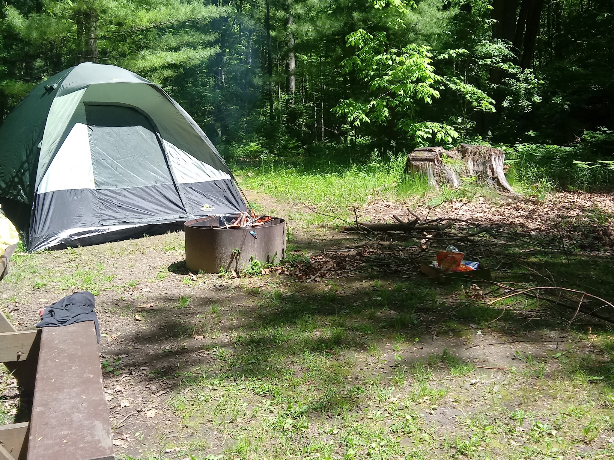 Black Creek State Forest Campground