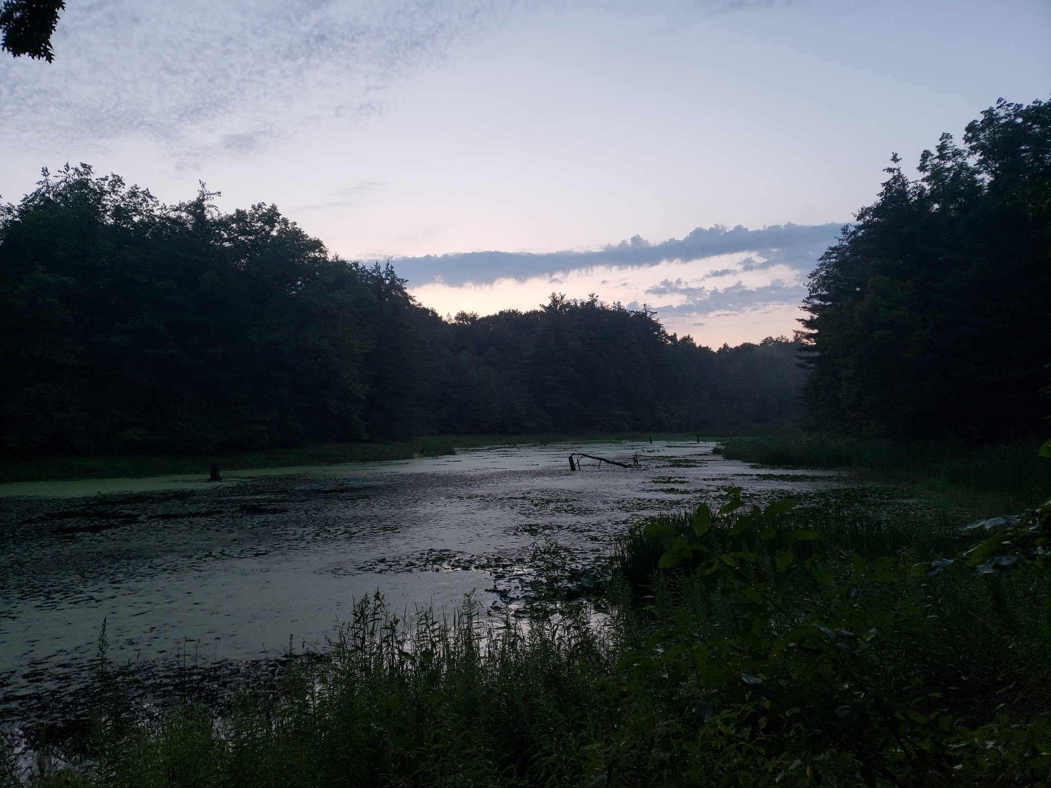 Black Creek State Forest Campground